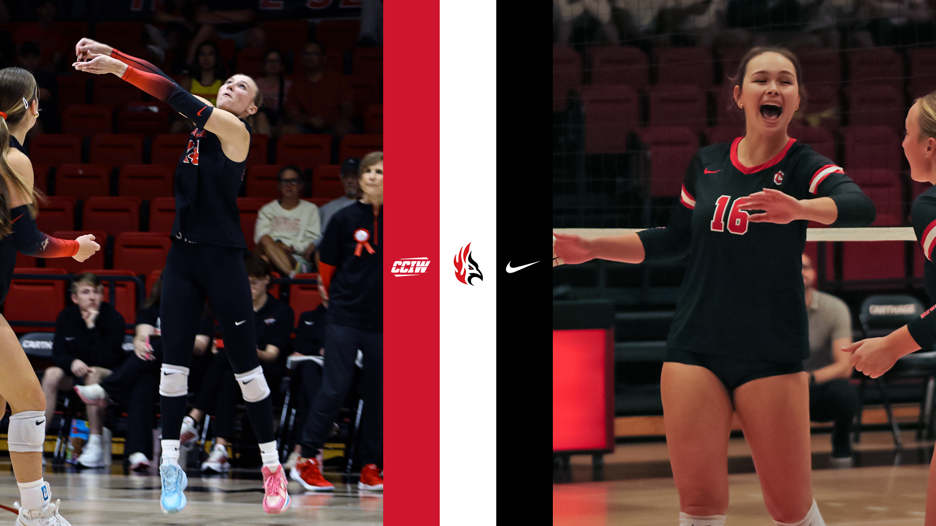 Manojlovic-Wierzgac AotW