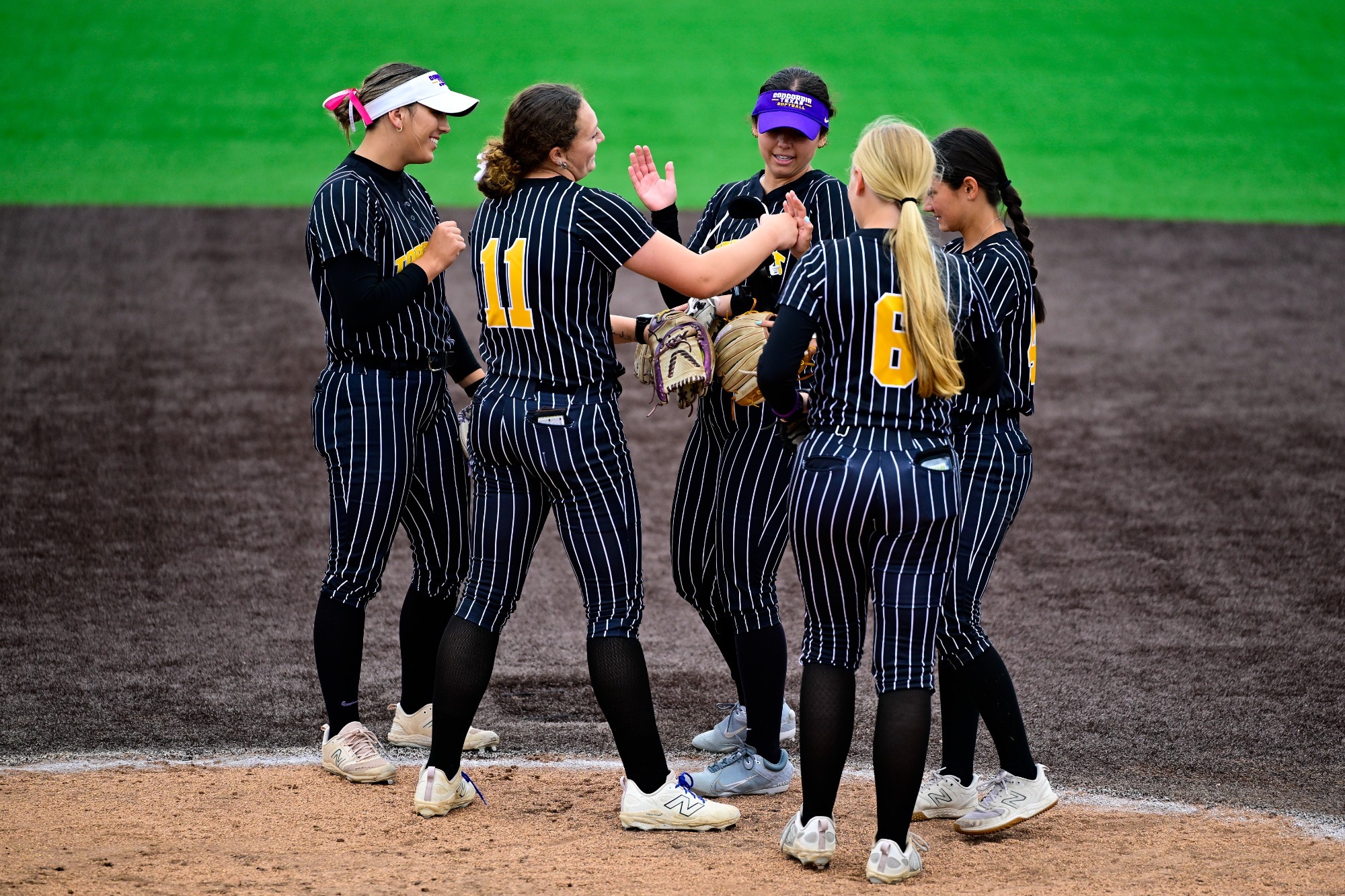 Softball 2025 Action Shot