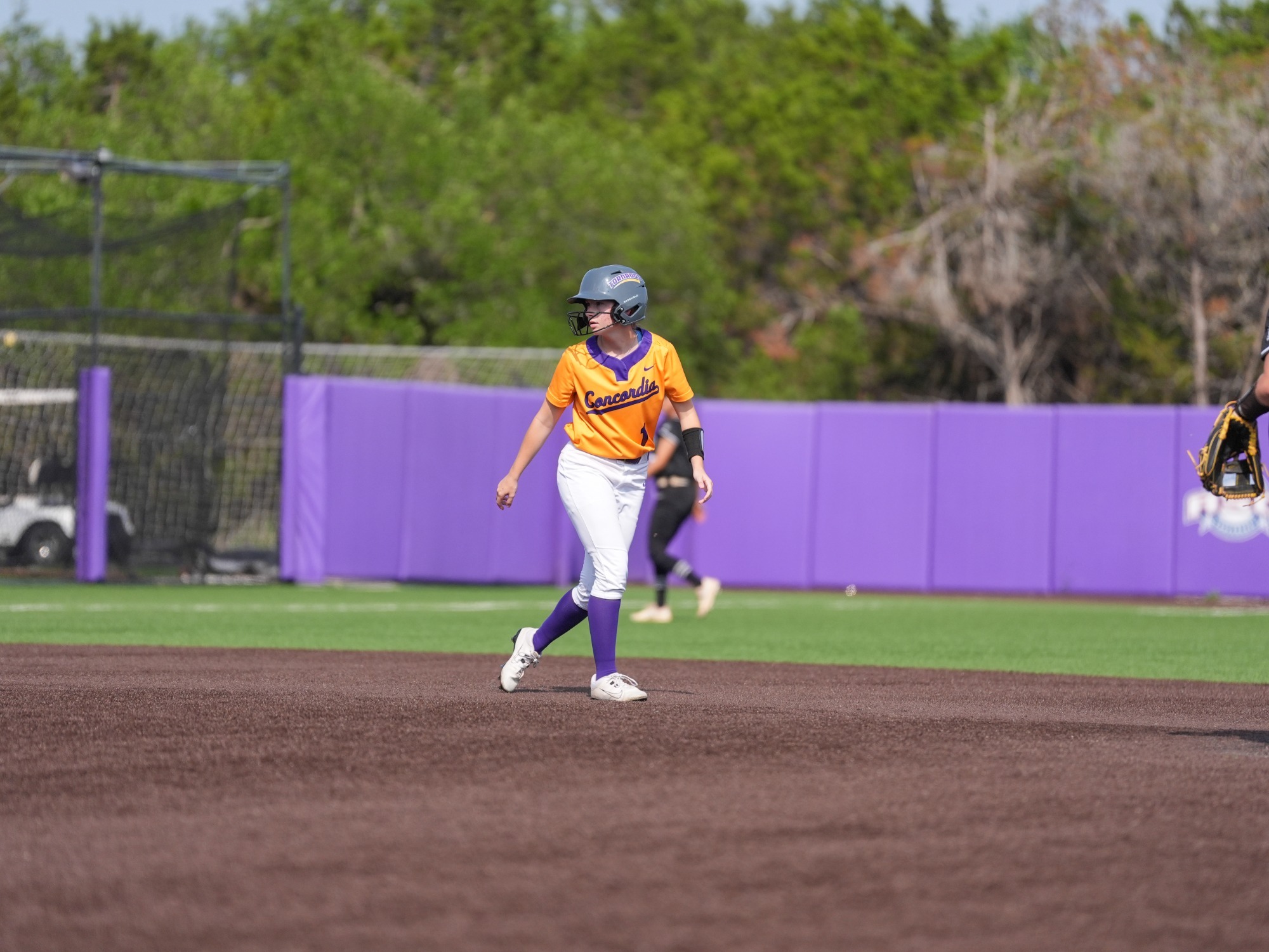 softball 2025 action shot