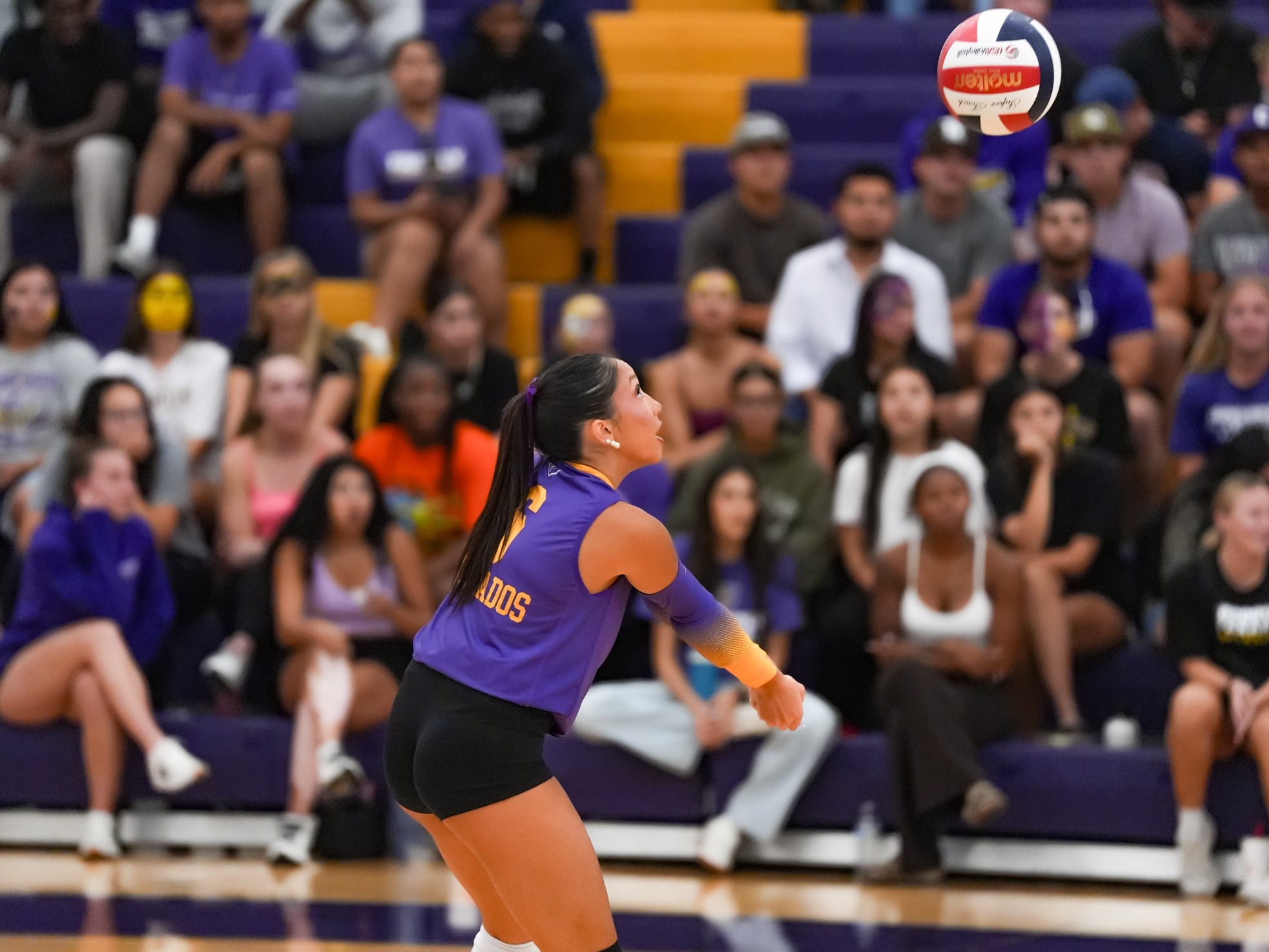 Lianna Kearns vs. Schreiner 9.15.26