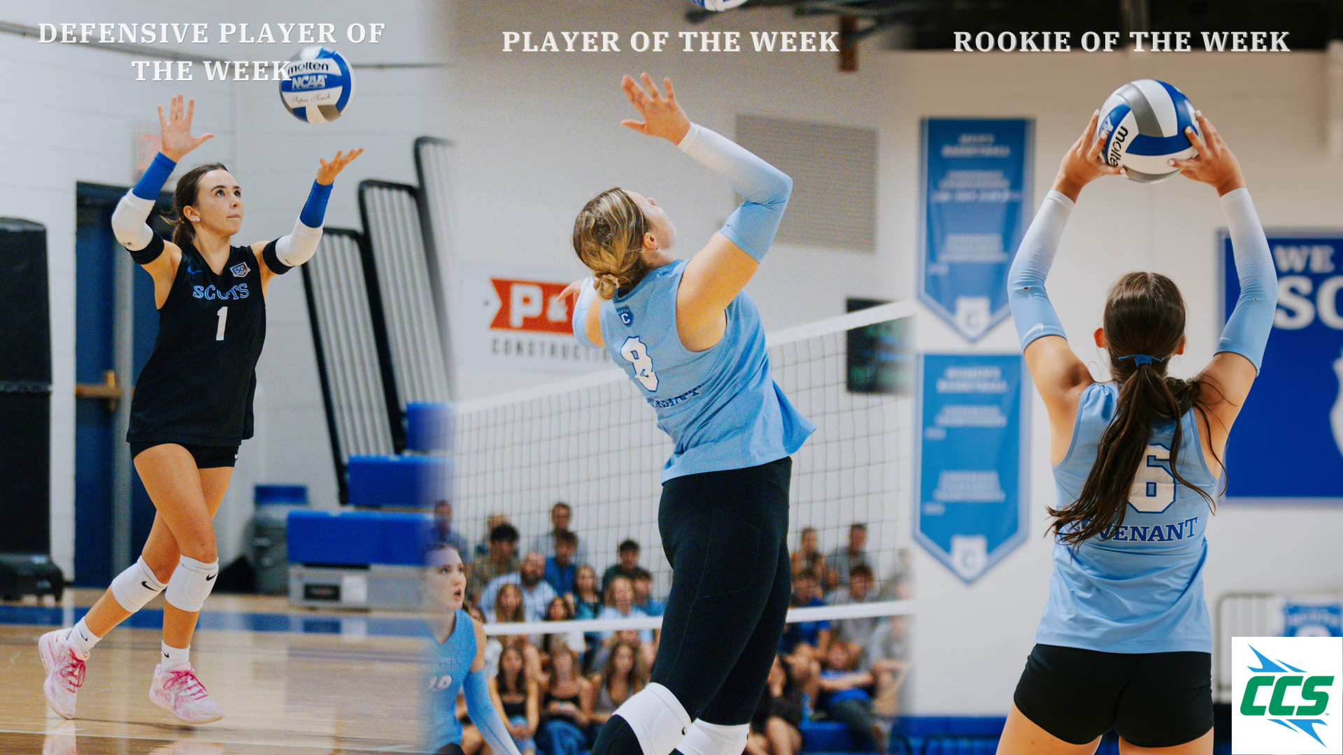 VB POTW 10/12