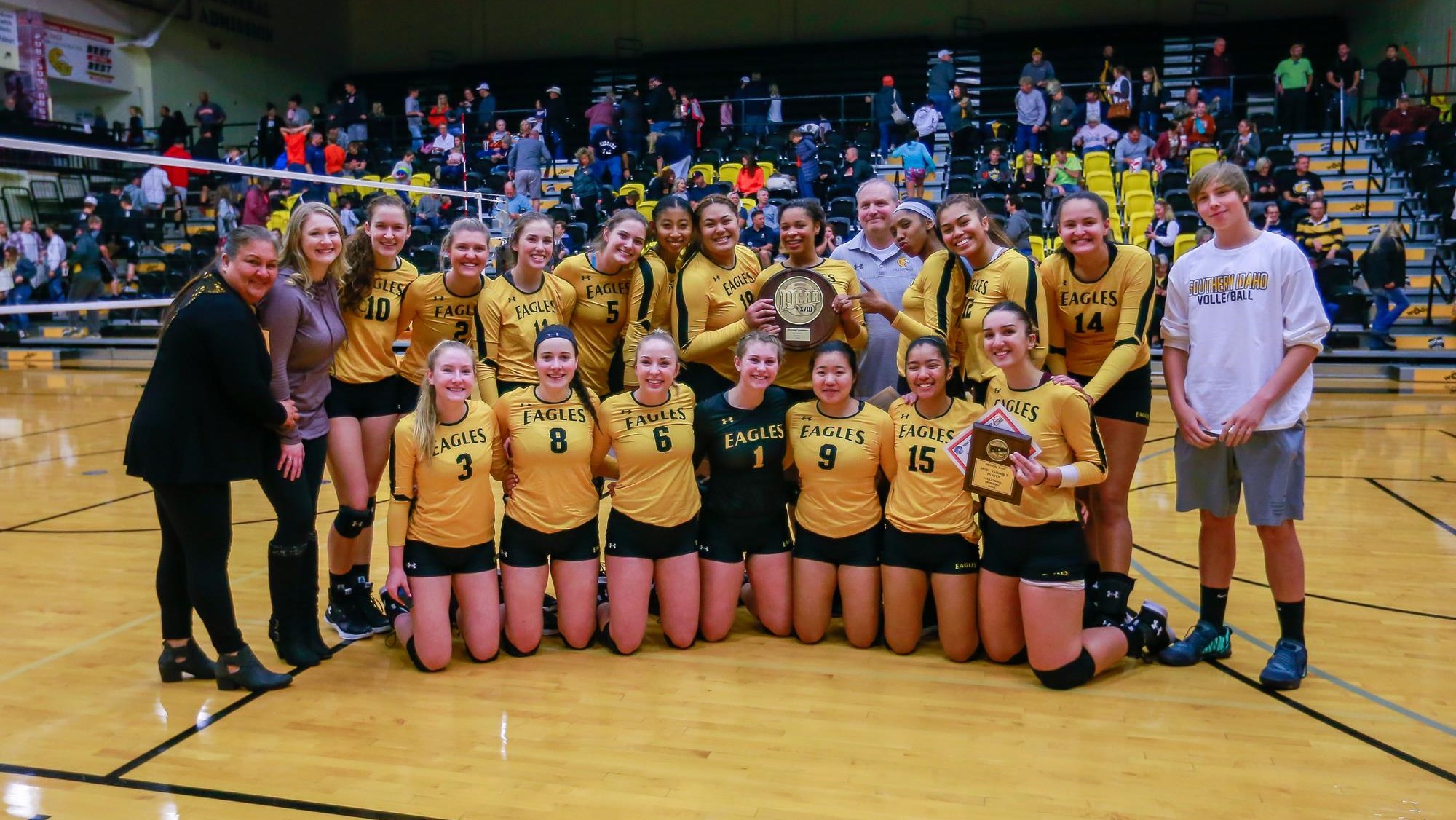 CSI Volleyball enters NJCAA National Tournament as 2 seed College of