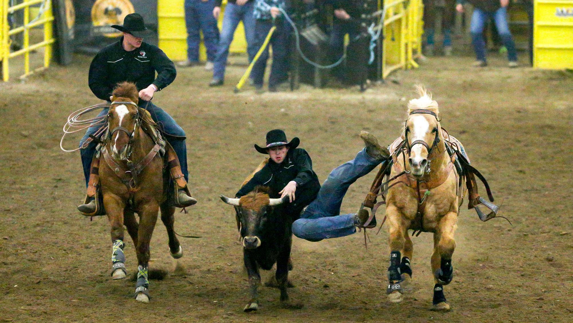 Daniel Eary - Men's Rodeo - College of Southern Idaho Athletics