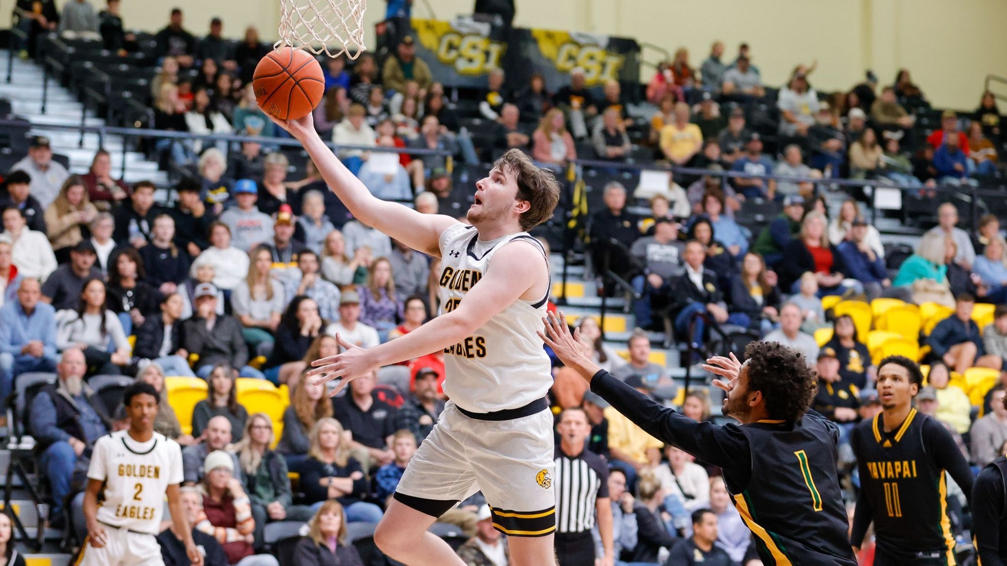 Walker Timme Men's Basketball College of Southern Idaho Athletics