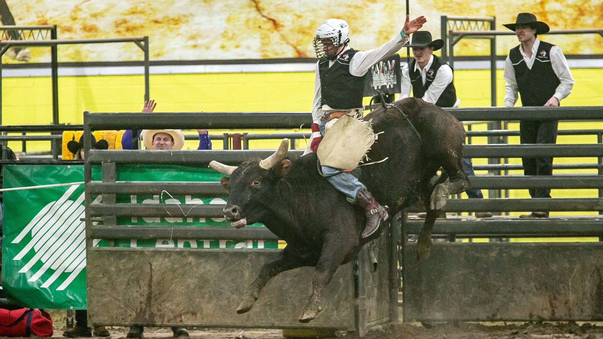 Carson Simper Men's Rodeo College of Southern Idaho Athletics