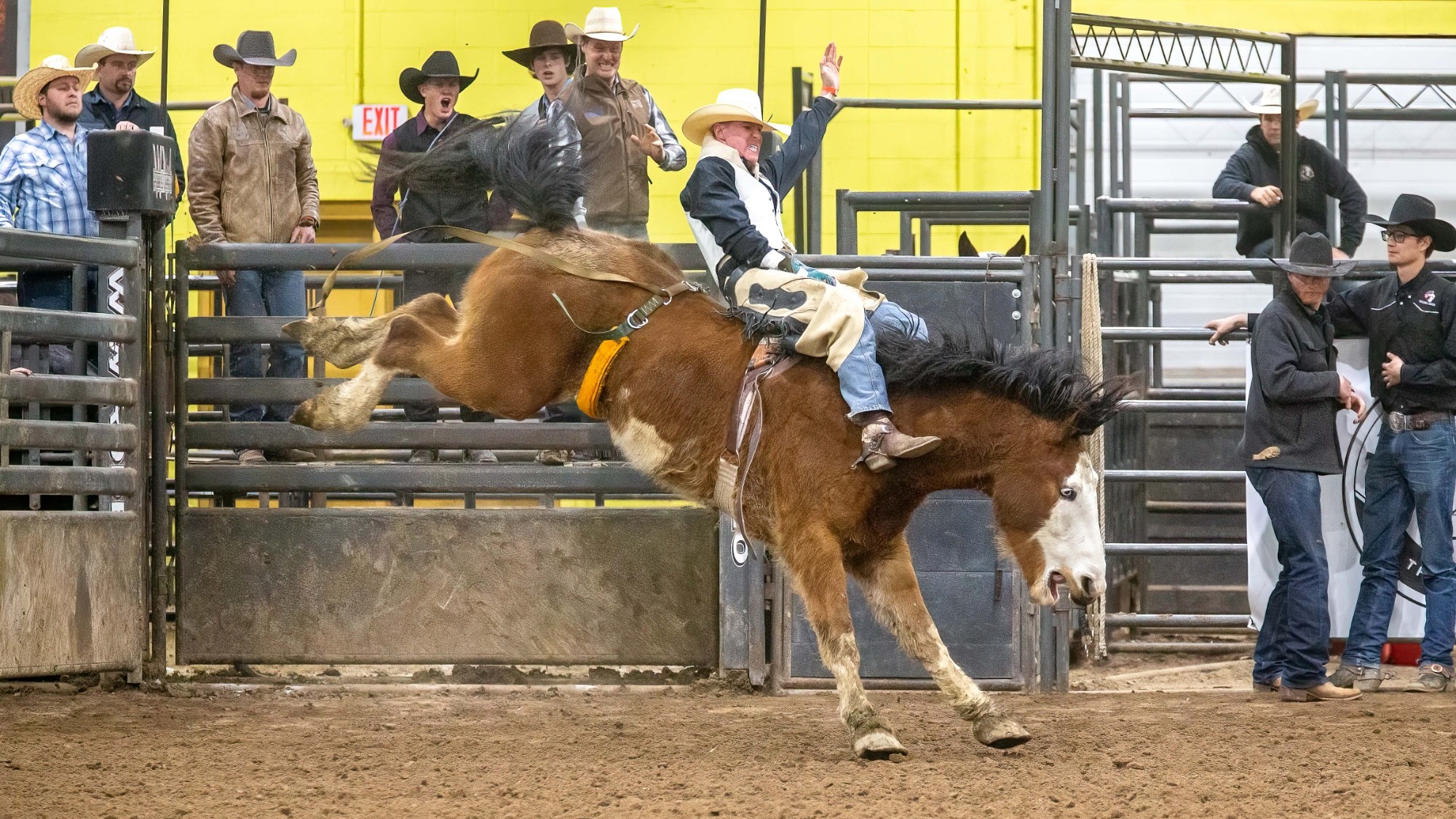 Tickets on sale for 48th Annual CSI Intercollegiate Rodeo - College of ...