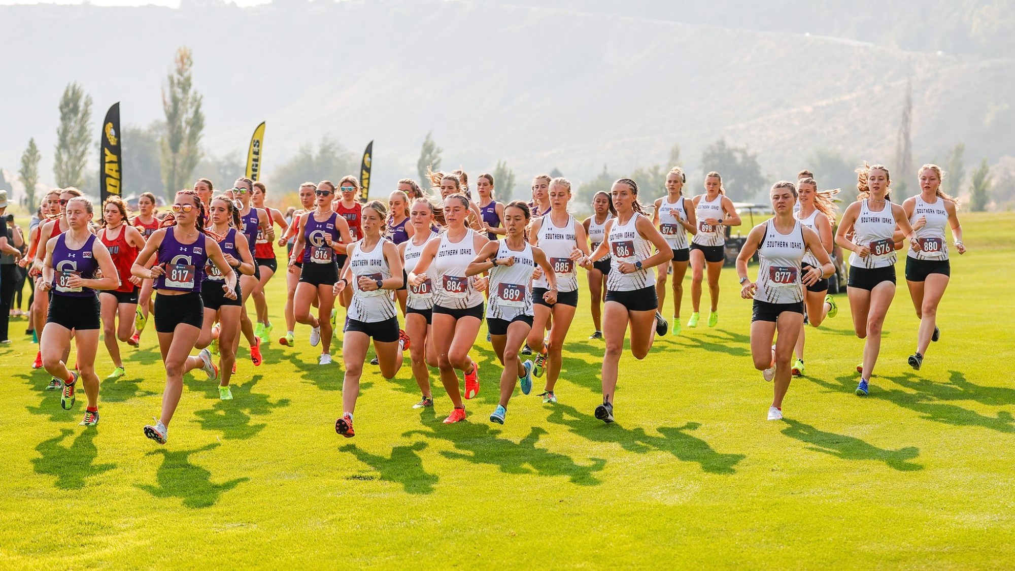 doc scholes invite women