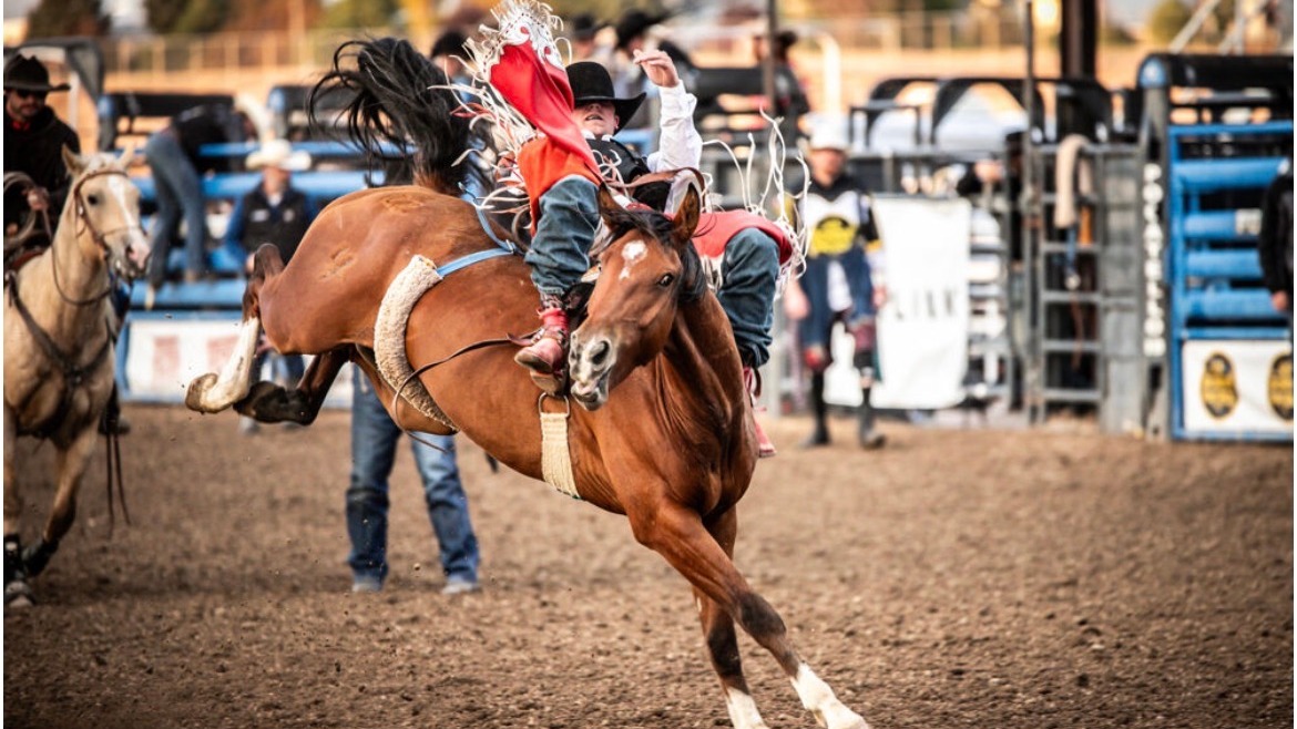 CSI Rodeo USUE