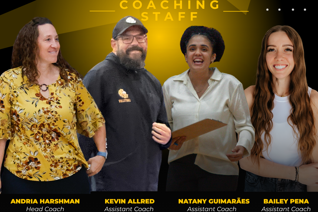 vb coaches