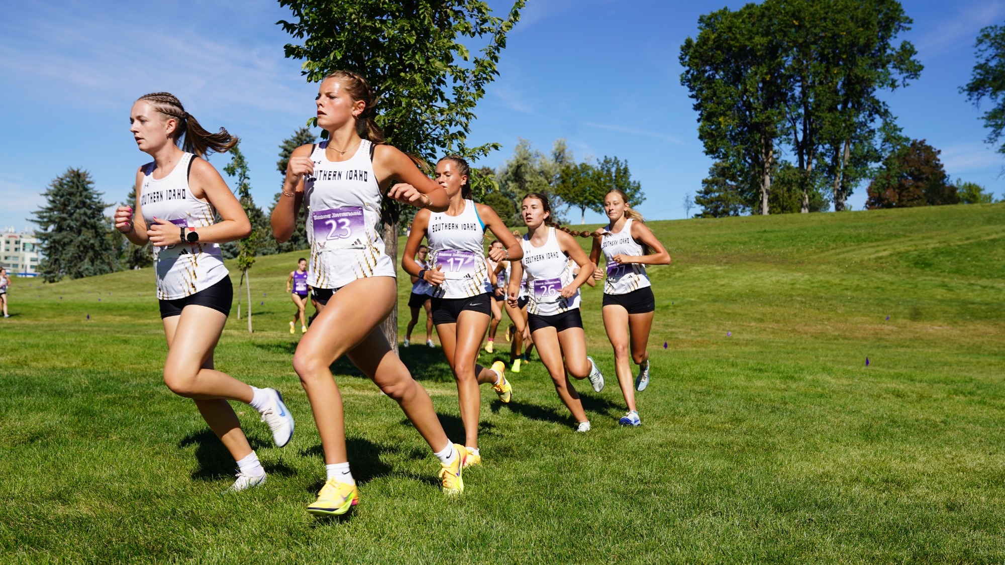 CSI WXC SLC