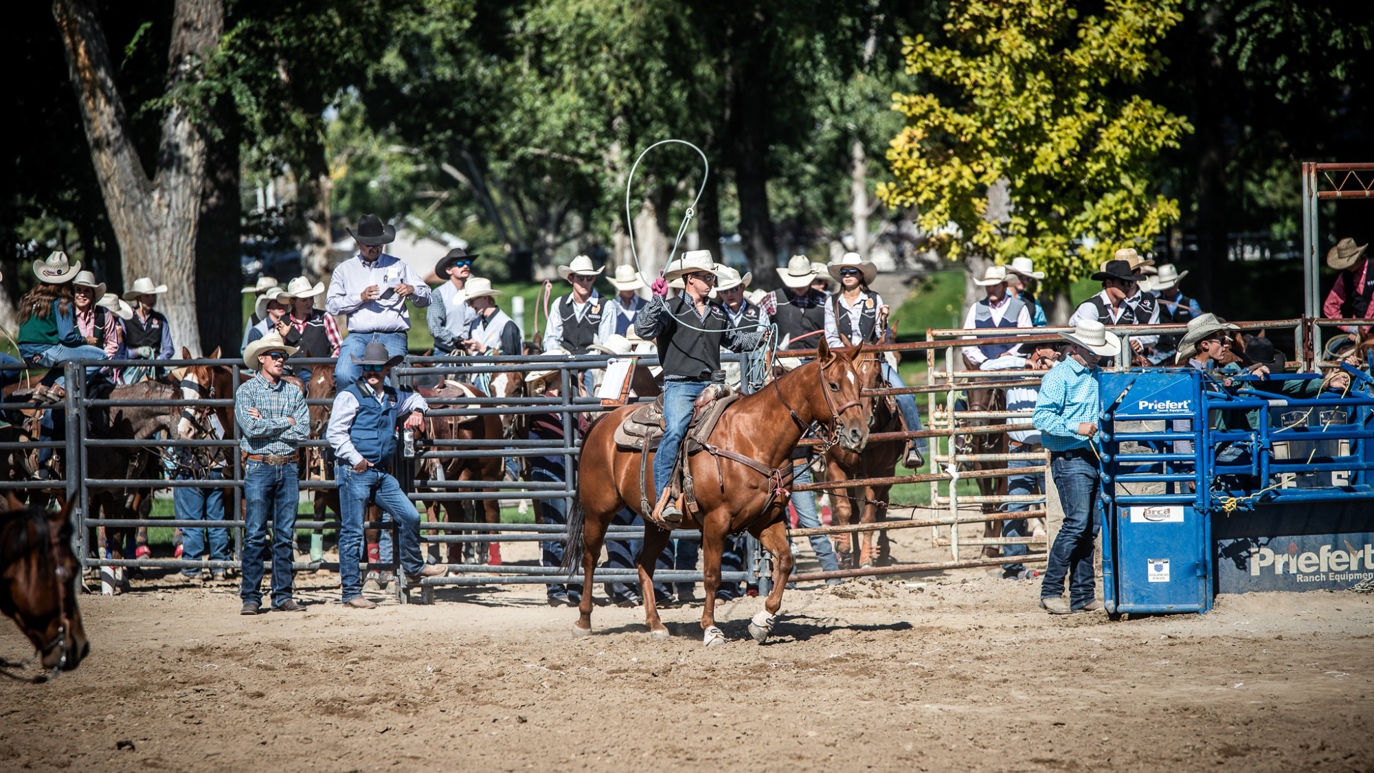 SUU Rodeo post