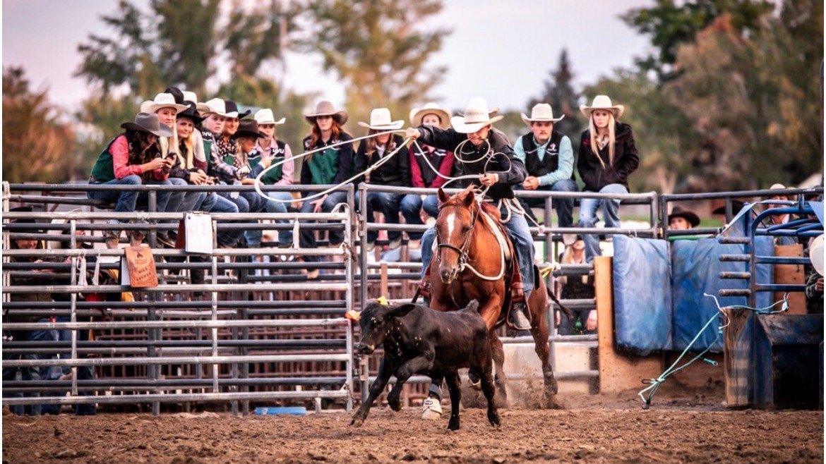 USU Rodeo post