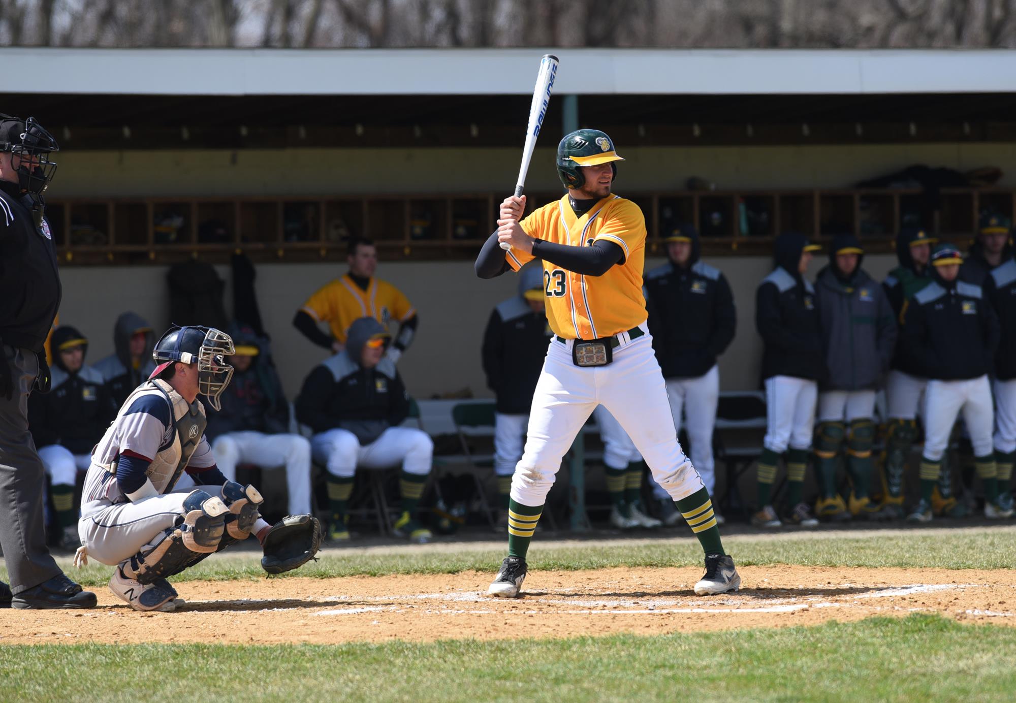 Luke Hendricks Baseball Delaware Valley University Athletics