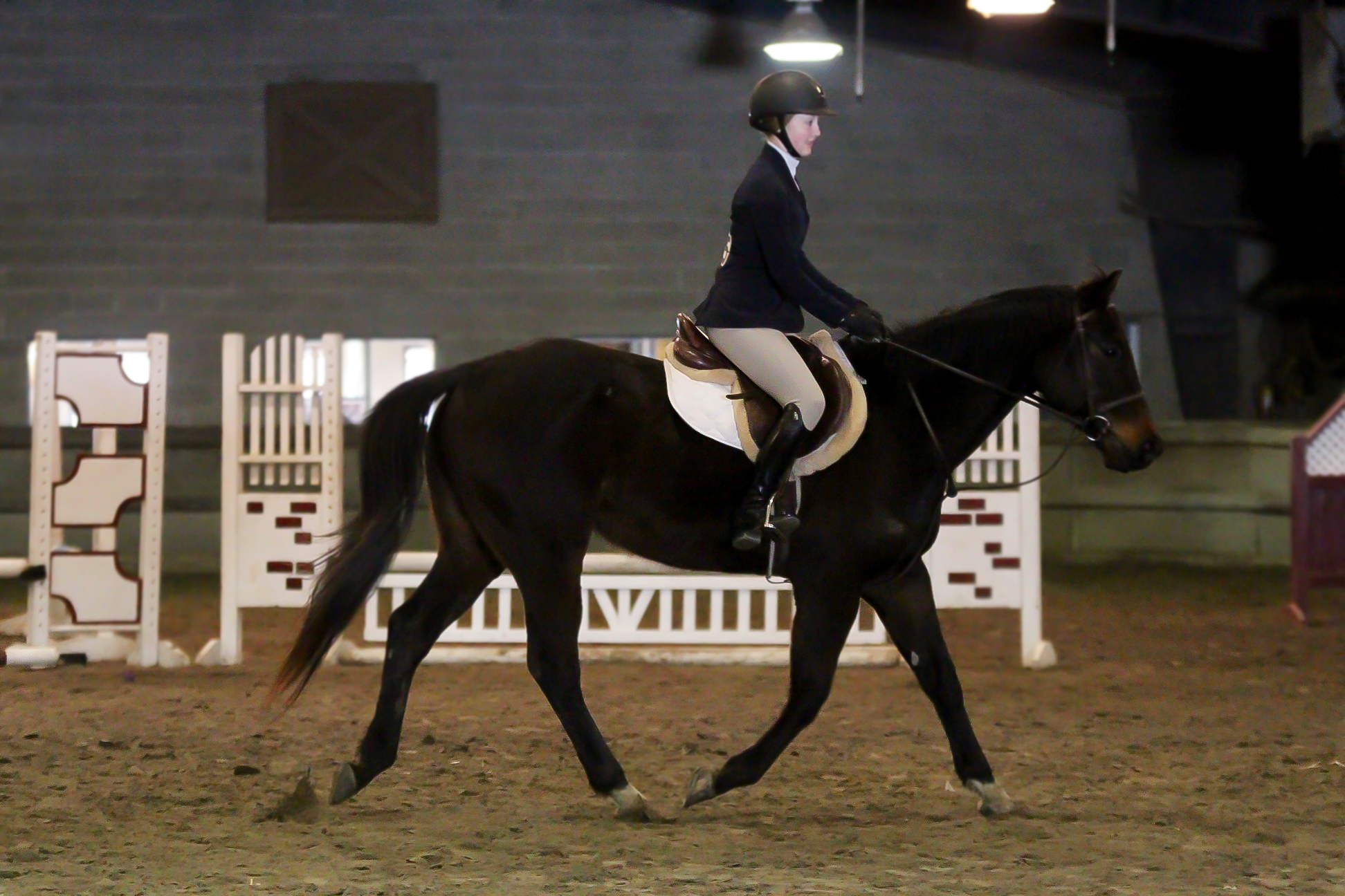 Hunt Seat Earns High Point Team Title At Region 2 Finals Delaware