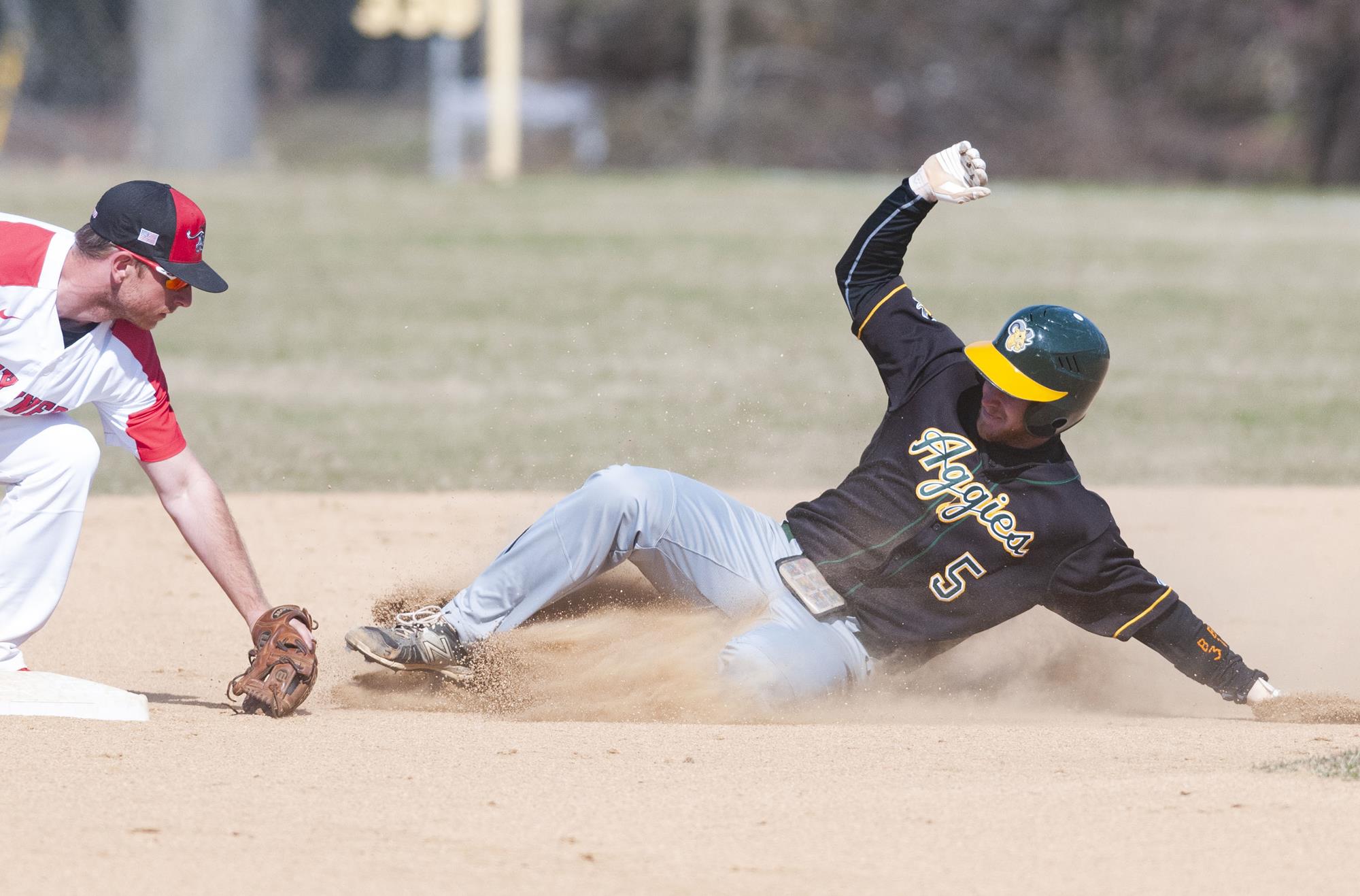 Cody Brown Baseball Delaware Valley University Athletics