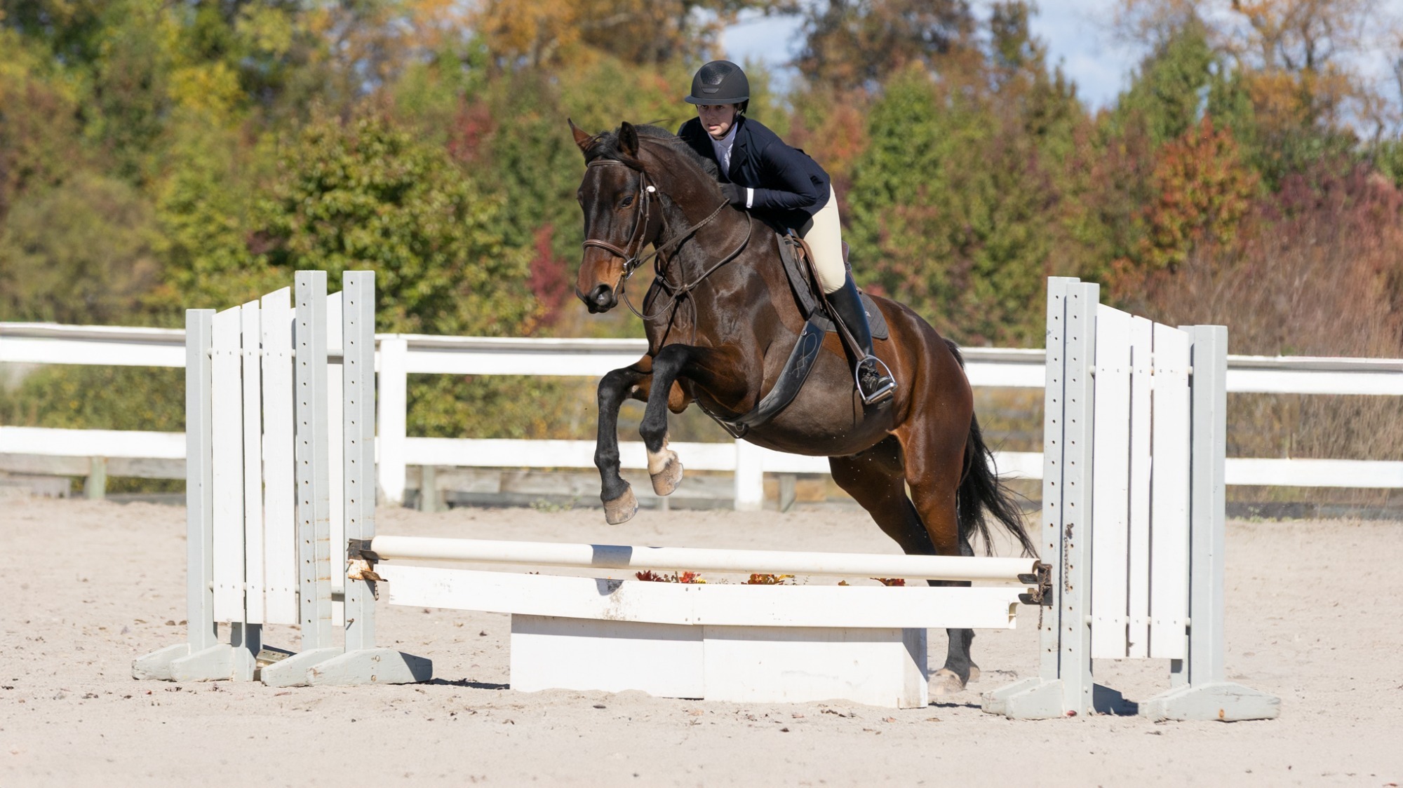 Amelia Parson riding Hunt Seat