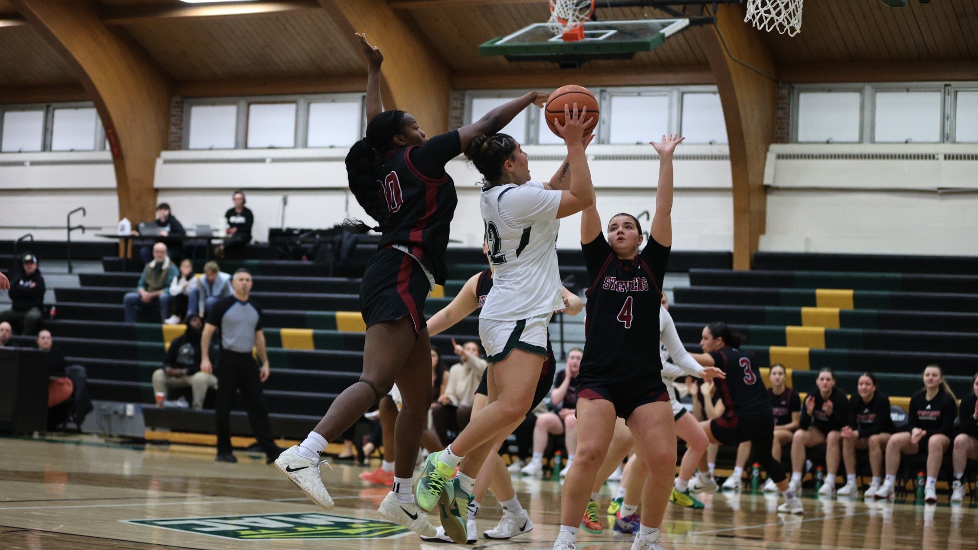 Alexis Lease-Springer playing women's basketball vs. Stevens