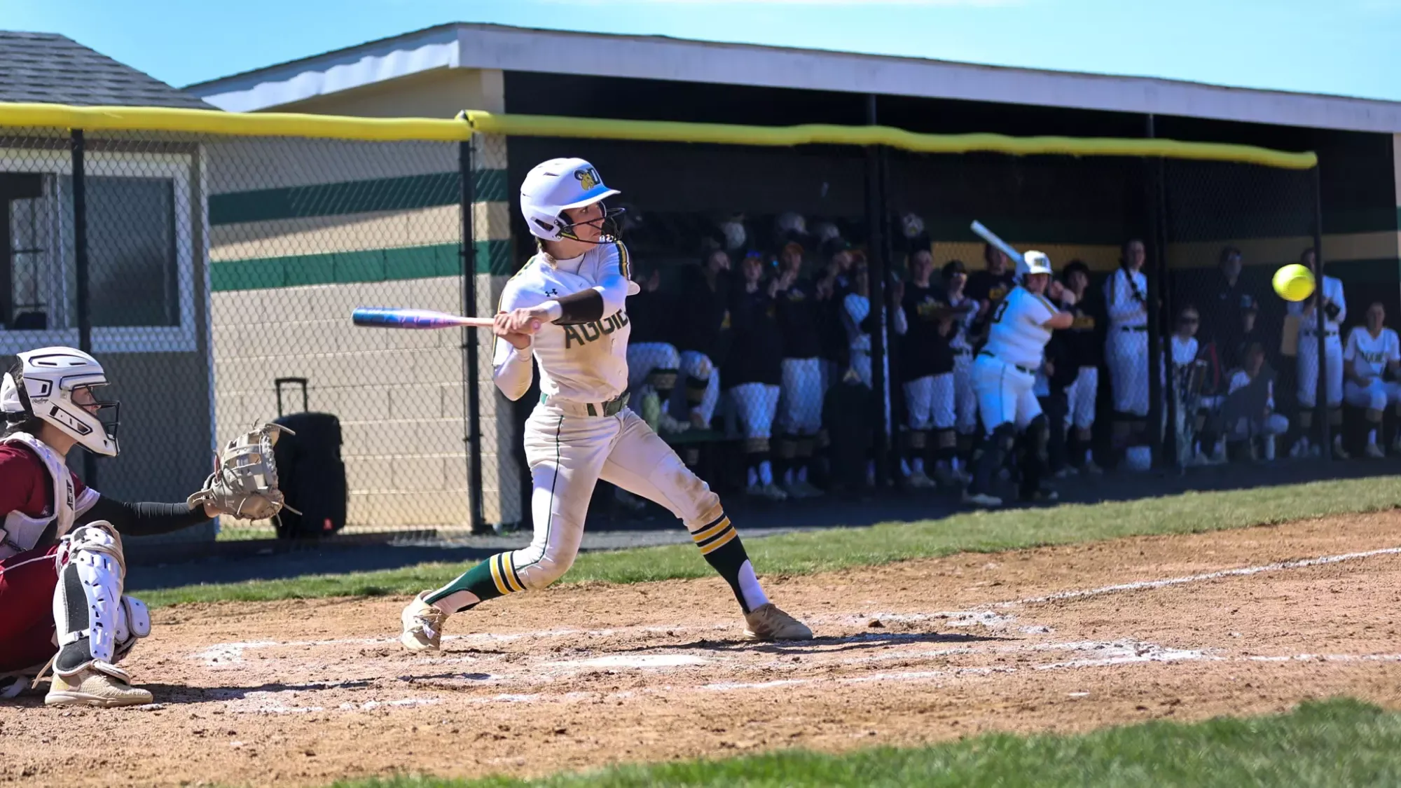 Angelina Bresnen playing softball against Stevens