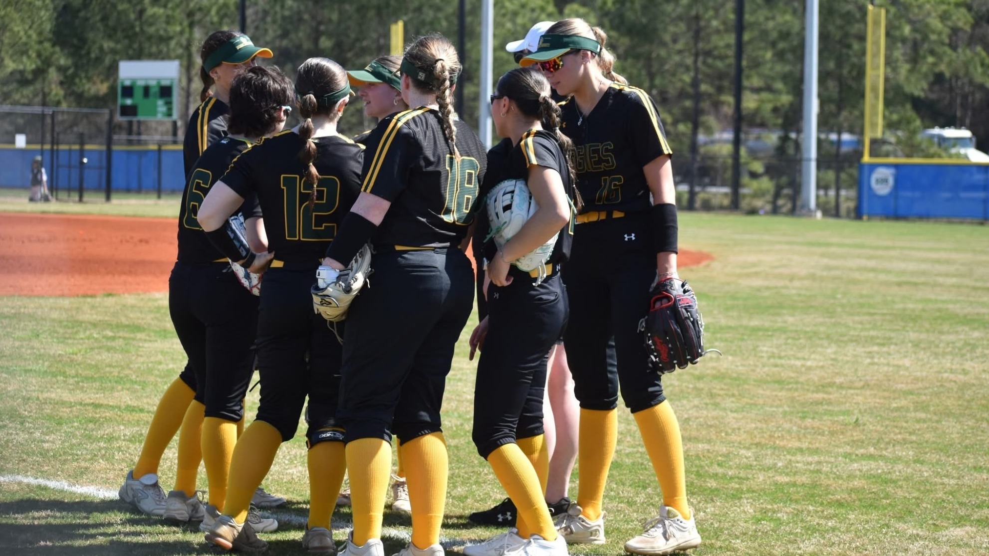 Softball in a huddle during spring break games 