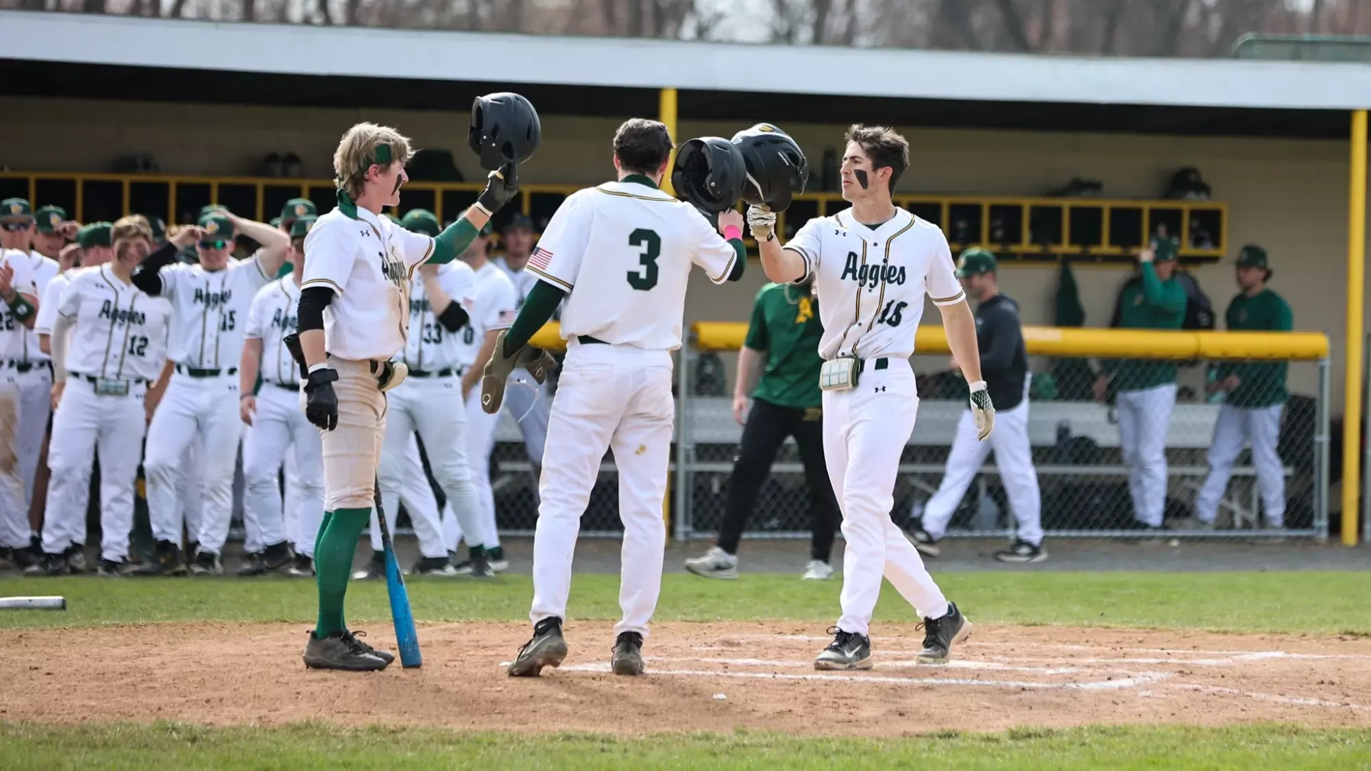 Gavin Migliori, Liam Martin, and Daniel Murphy home run celebration 