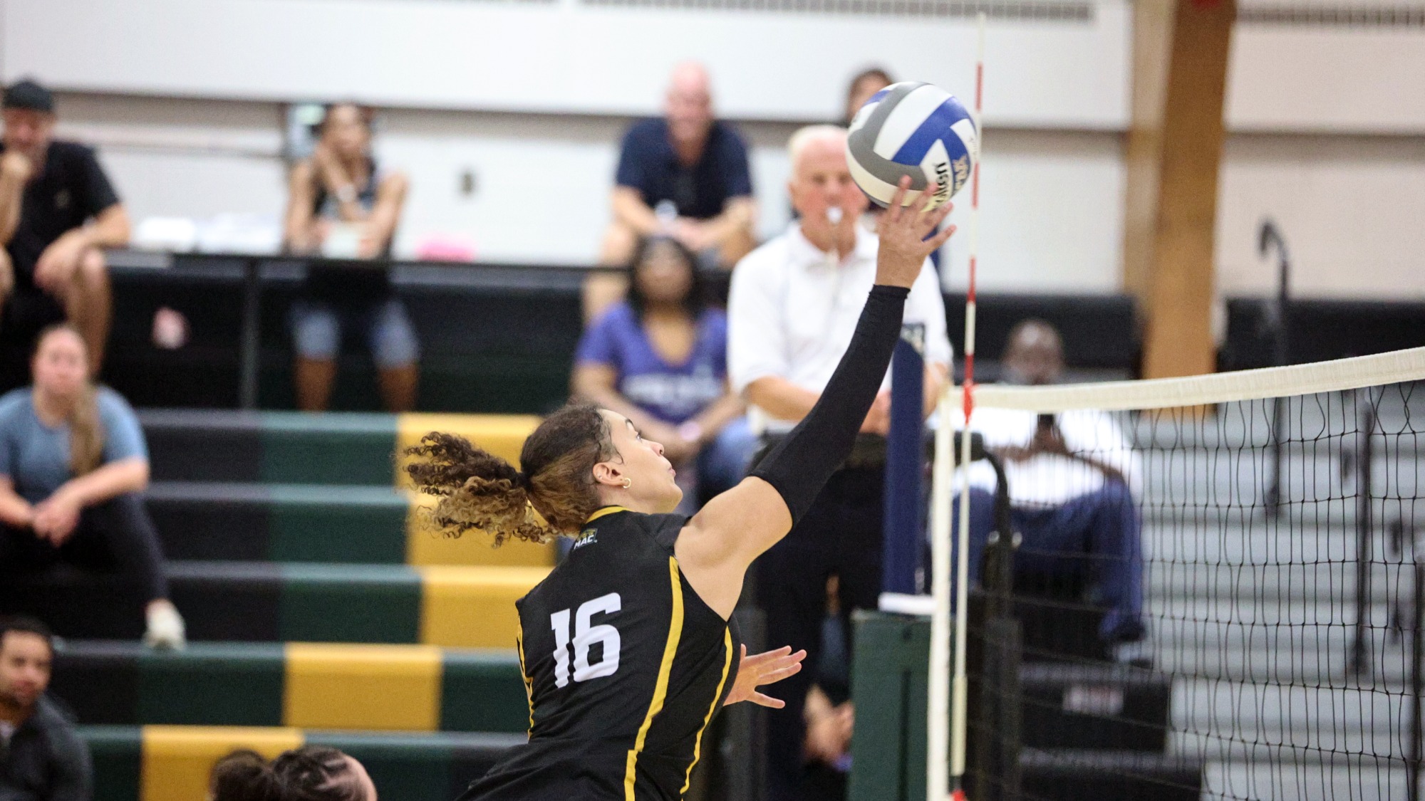 Ariana Hernandez playing women's volleyball vs. Penn State Brandywine
