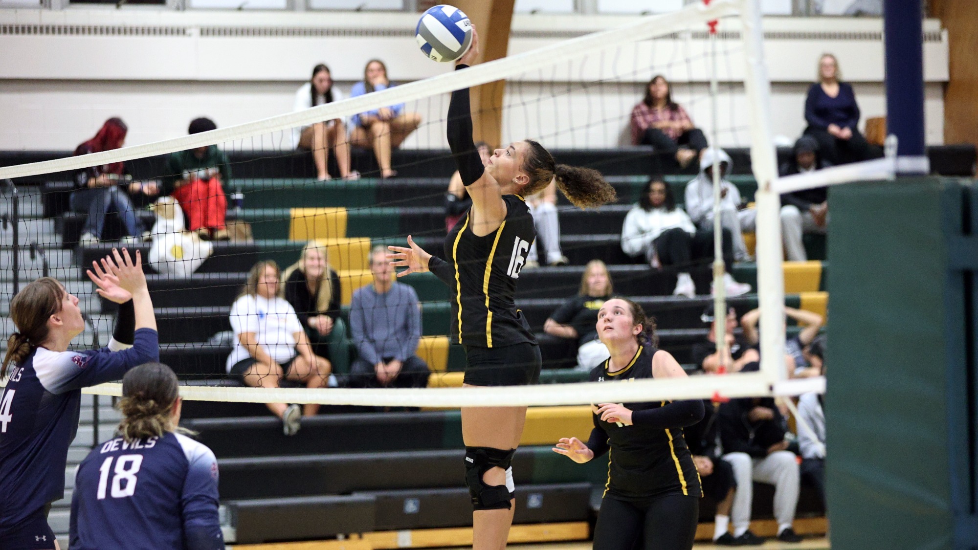 Ariana Hernandez playing women's volleyball vs. FDU-Florham