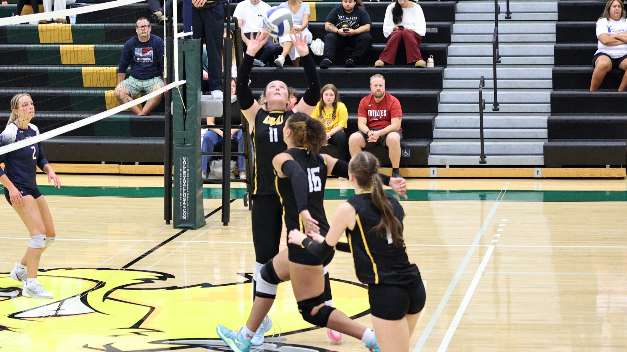 Madison Alexander playing women's volleyball vs. FDU-Florham