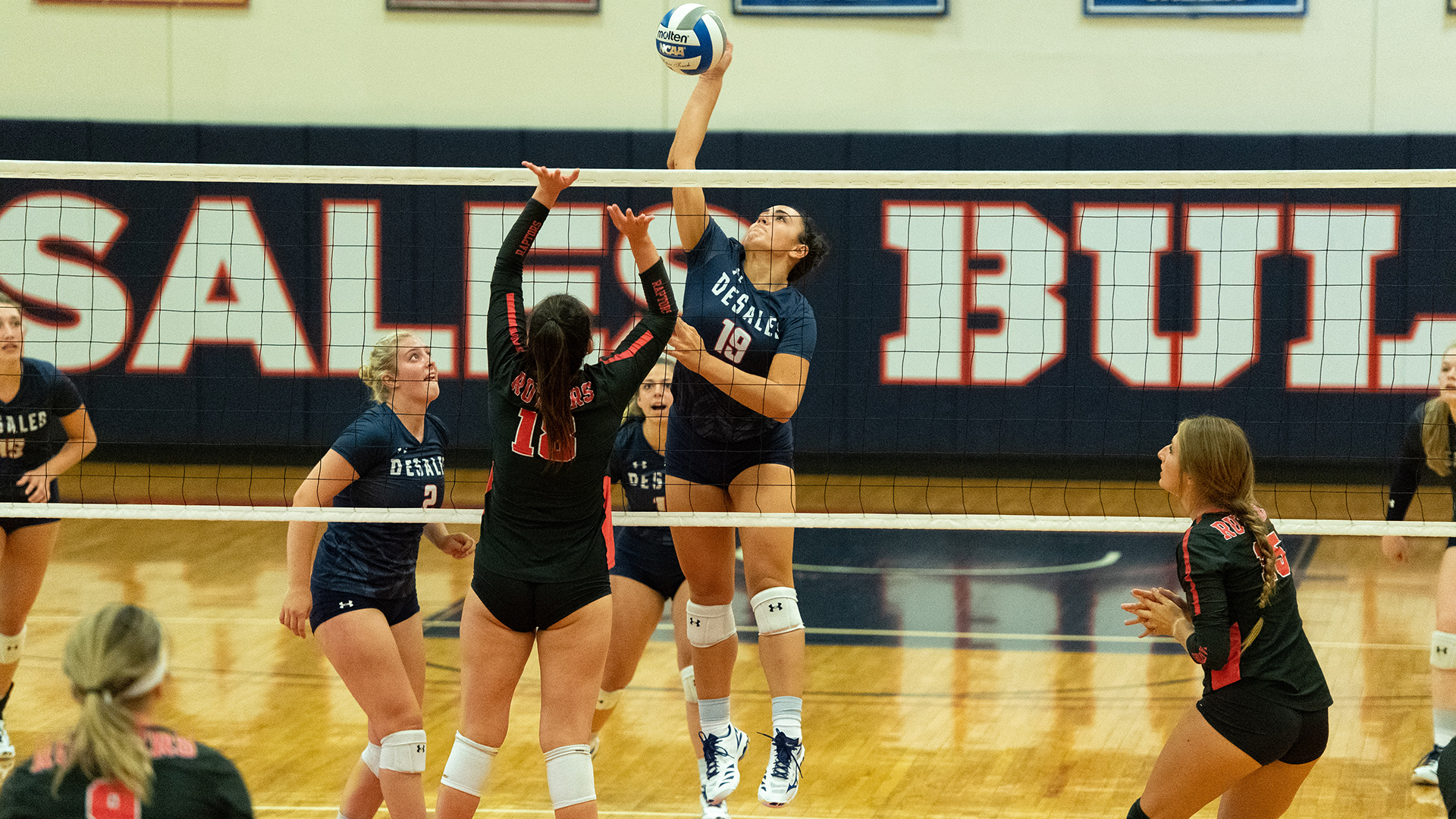 Caroline Garretson Volleyball DeSales University Athletics