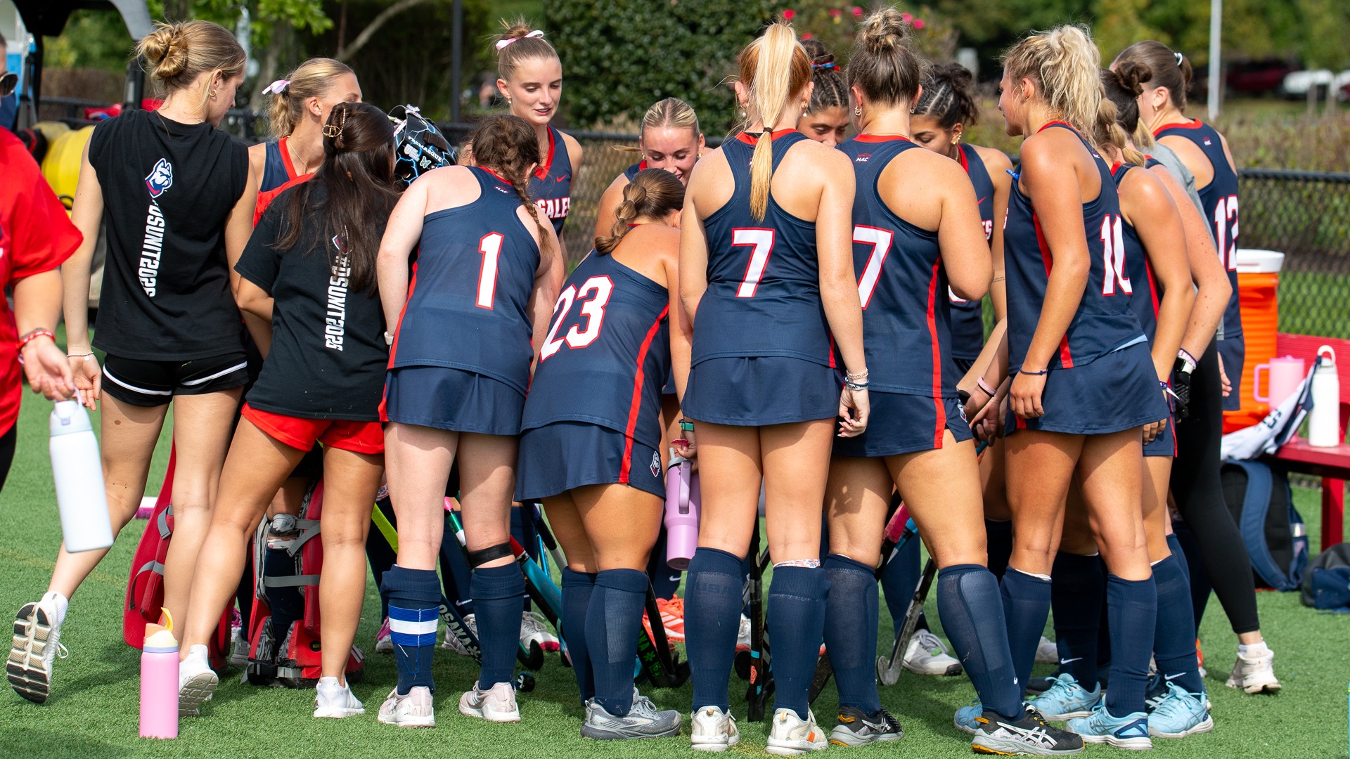DSUFH Team 2026