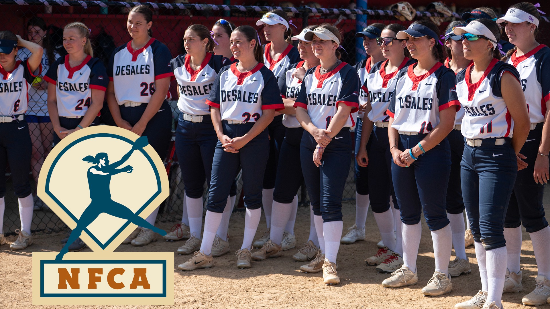 DSUSB NFCA 2026
