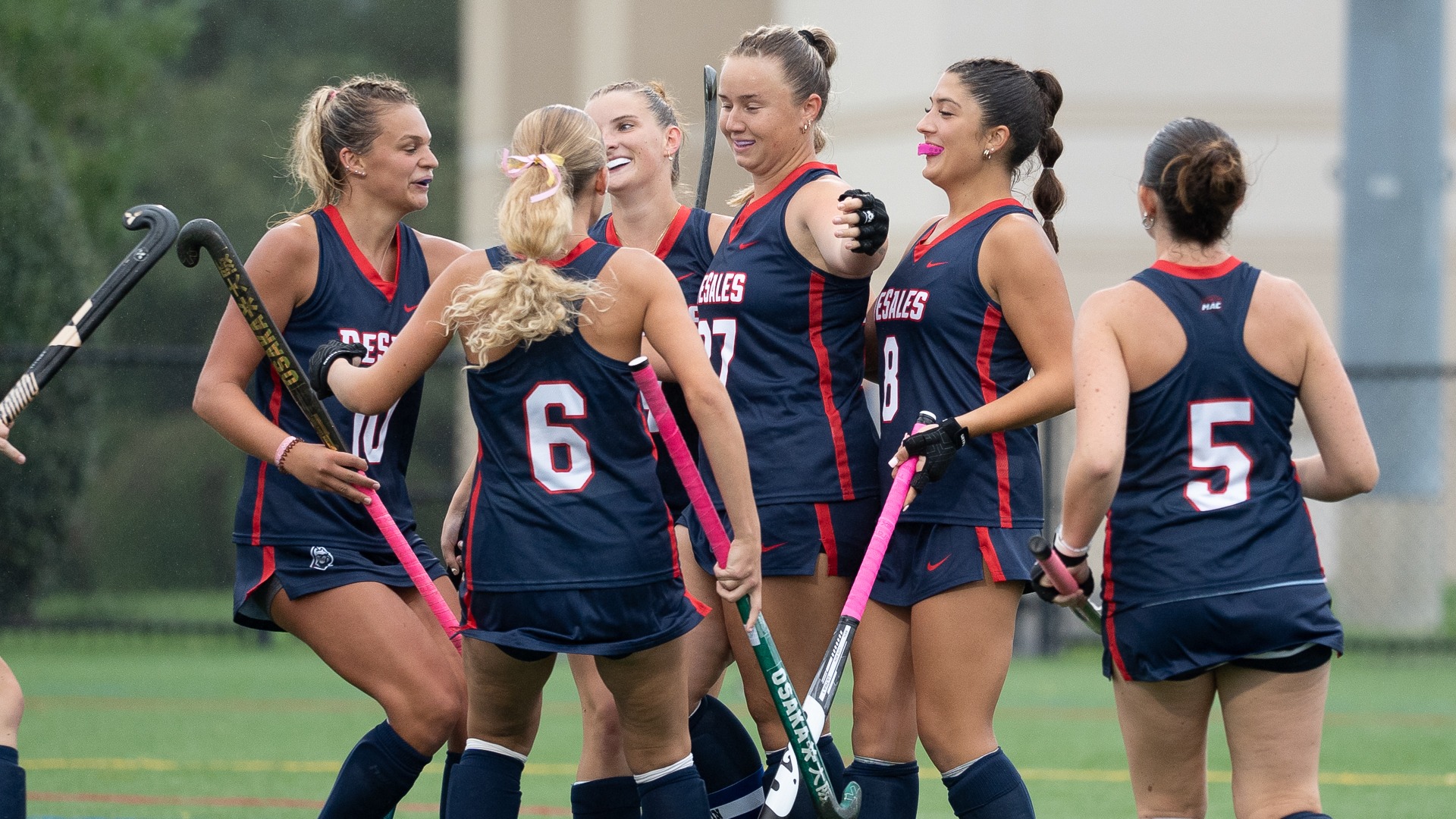 DSUFH Team