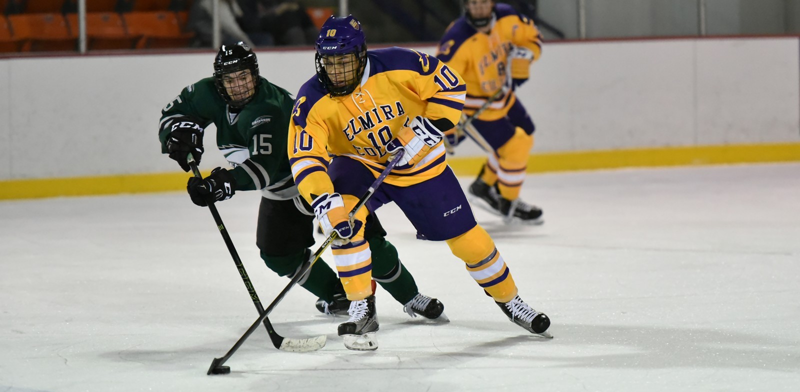 Joseph Hall 201617 Men's Ice Hockey Elmira College Athletics