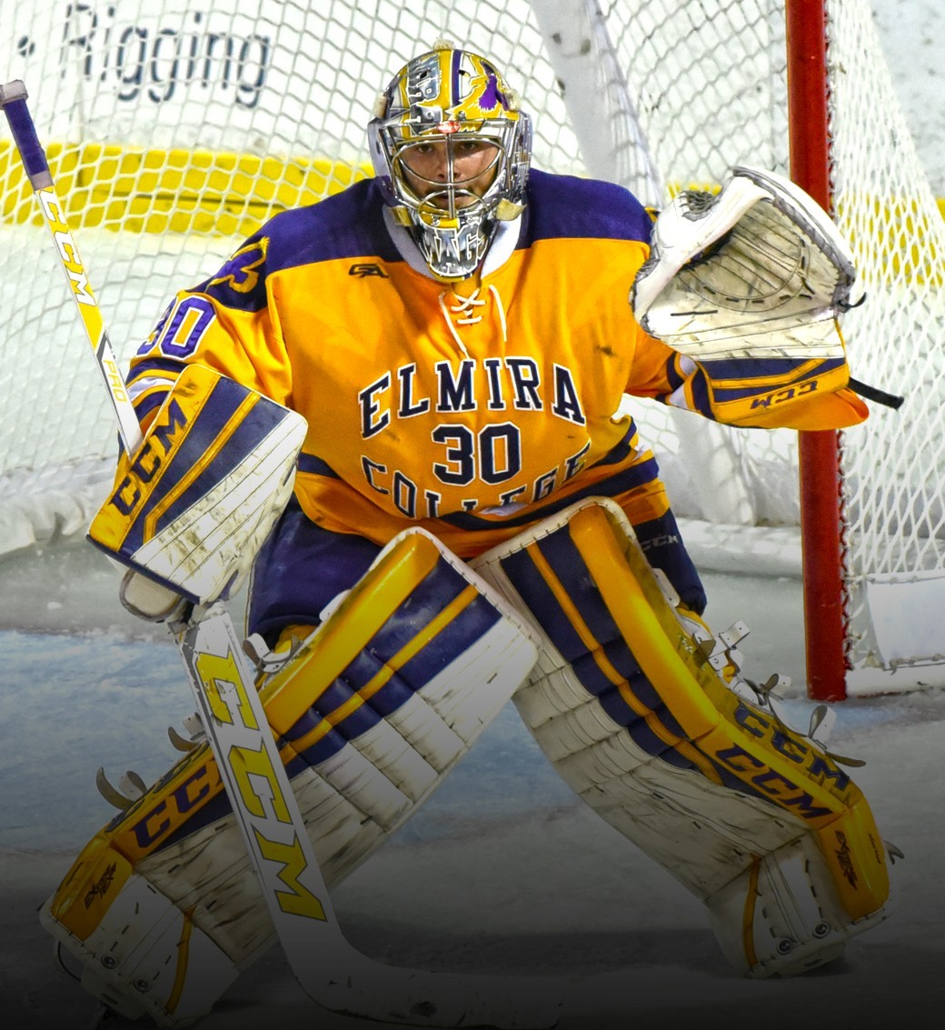 Sal Magliocco 201617 Men's Ice Hockey Elmira College Athletics