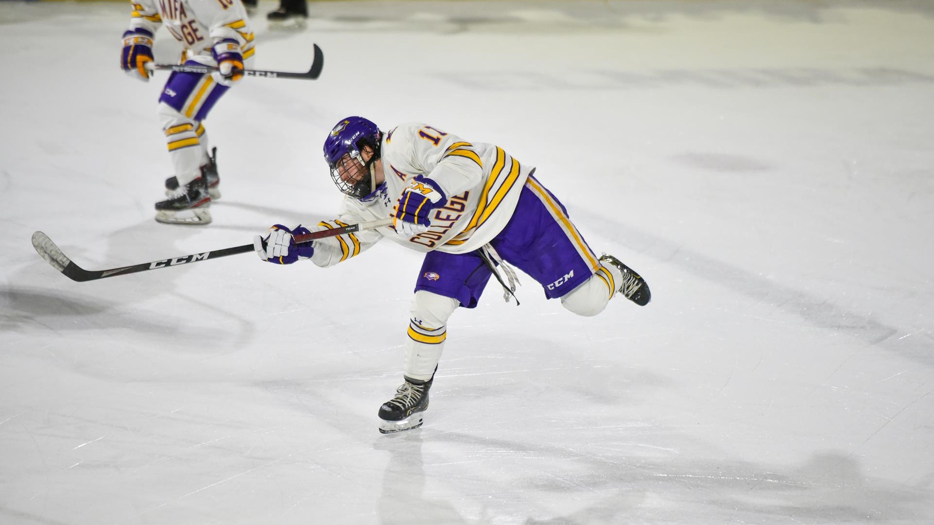 Amedeo Mastrangeli 202223 Men's Ice Hockey Elmira College Athletics