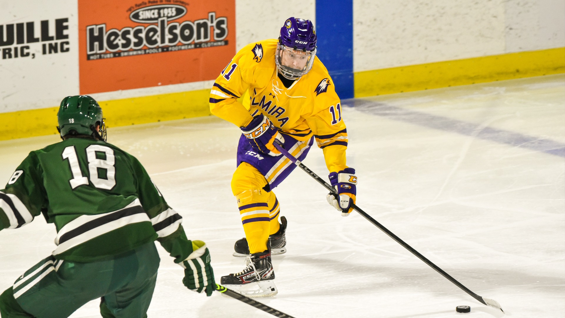 Shawn Kennedy 202223 Men's Ice Hockey Elmira College Athletics