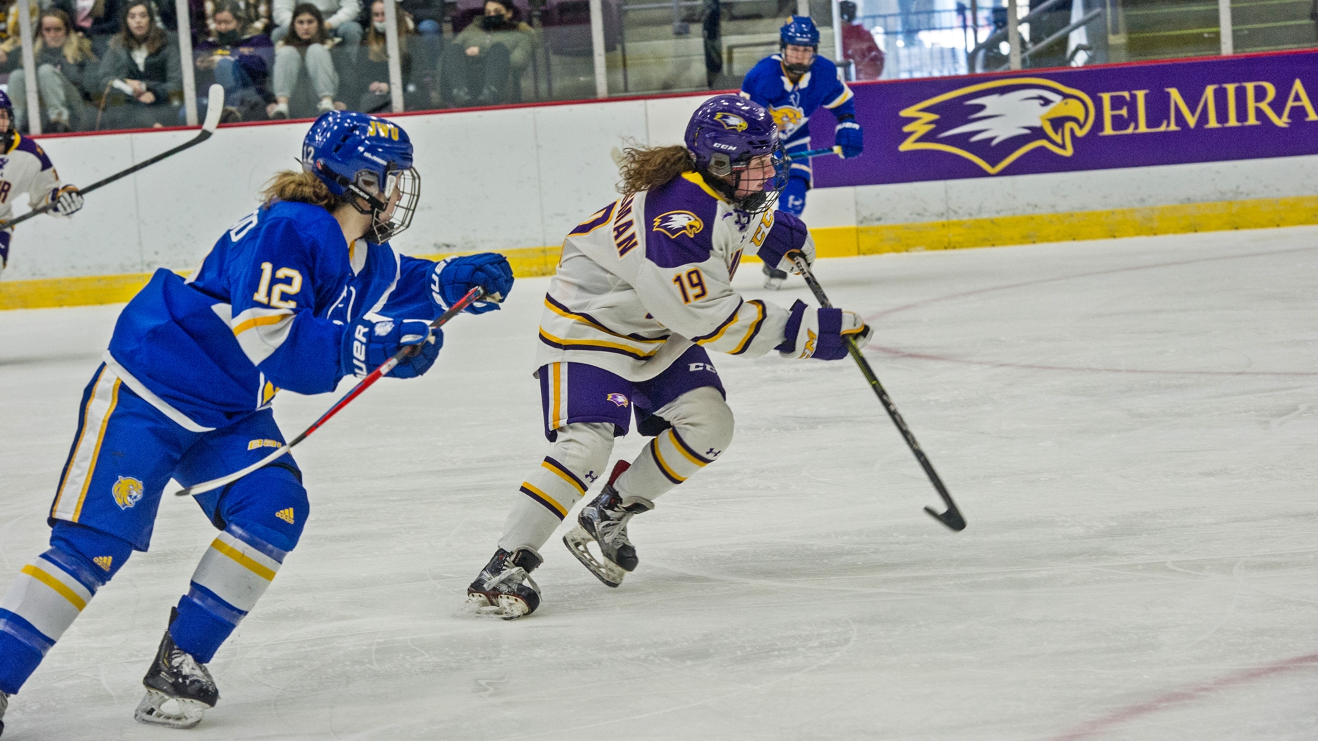 Sabrina Shvartsman 202223 Women's Ice Hockey Elmira College