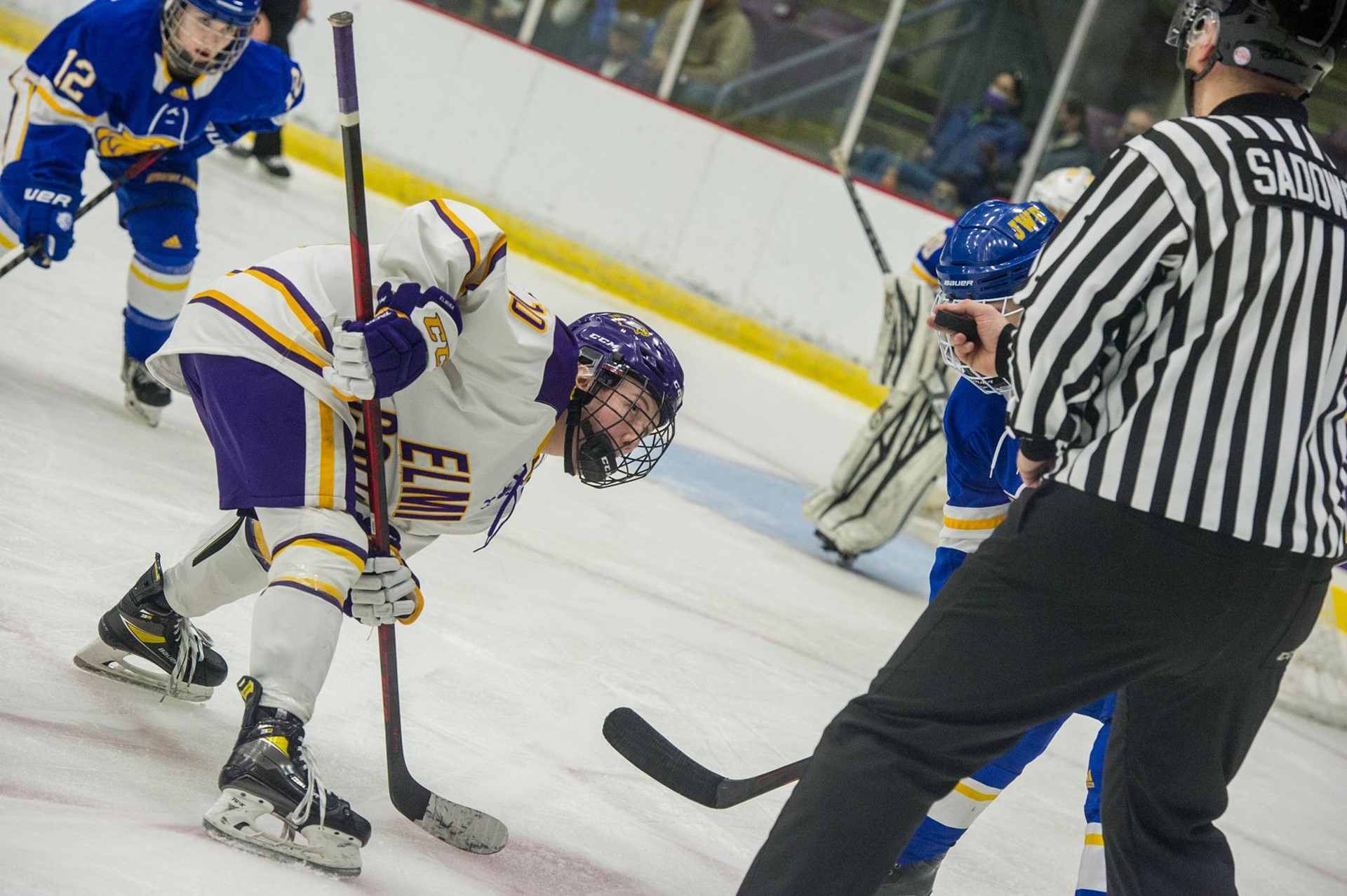 Erika Goleniak 202324 Women's Ice Hockey Elmira College Athletics