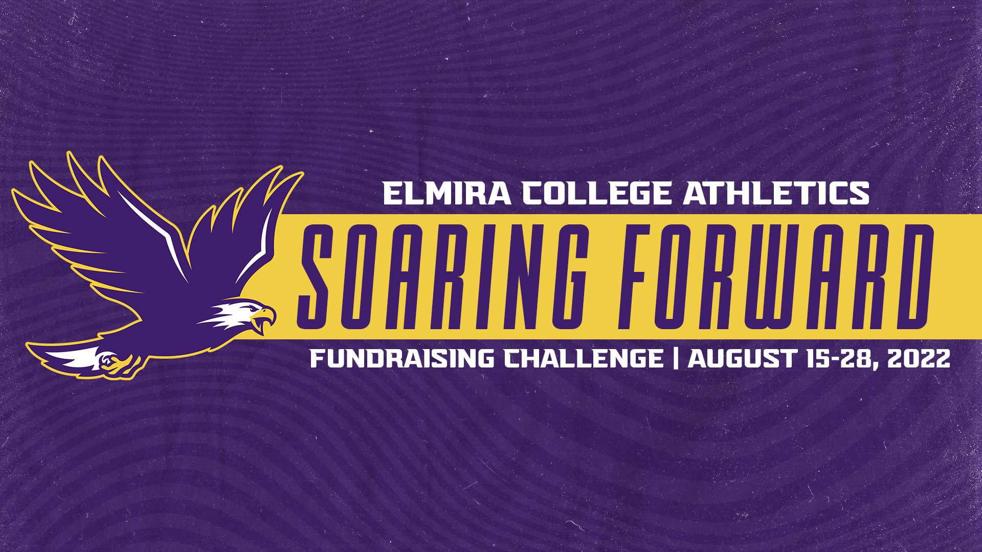 Soaring Forward Fundraising Challenge HP