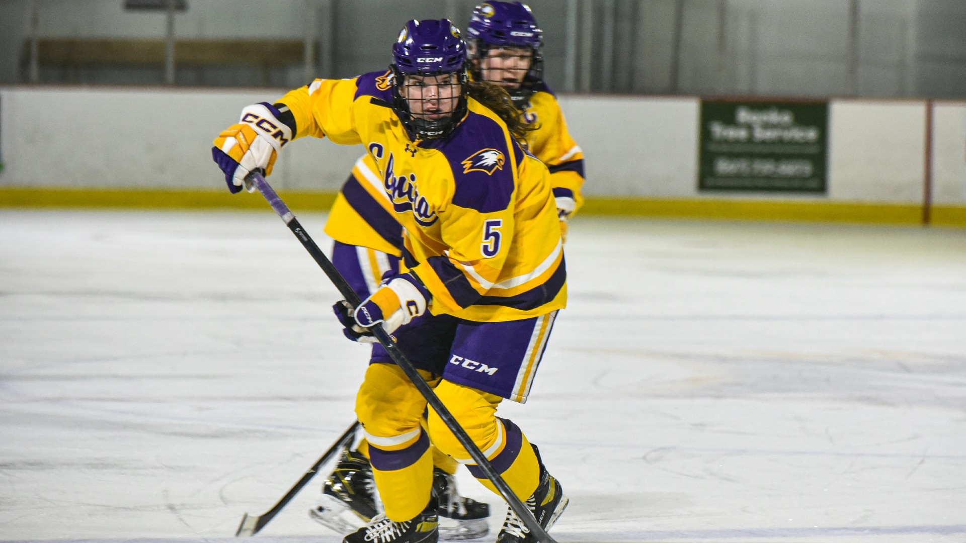 Jenny Heath 202223 Women's Ice Hockey Elmira College Athletics