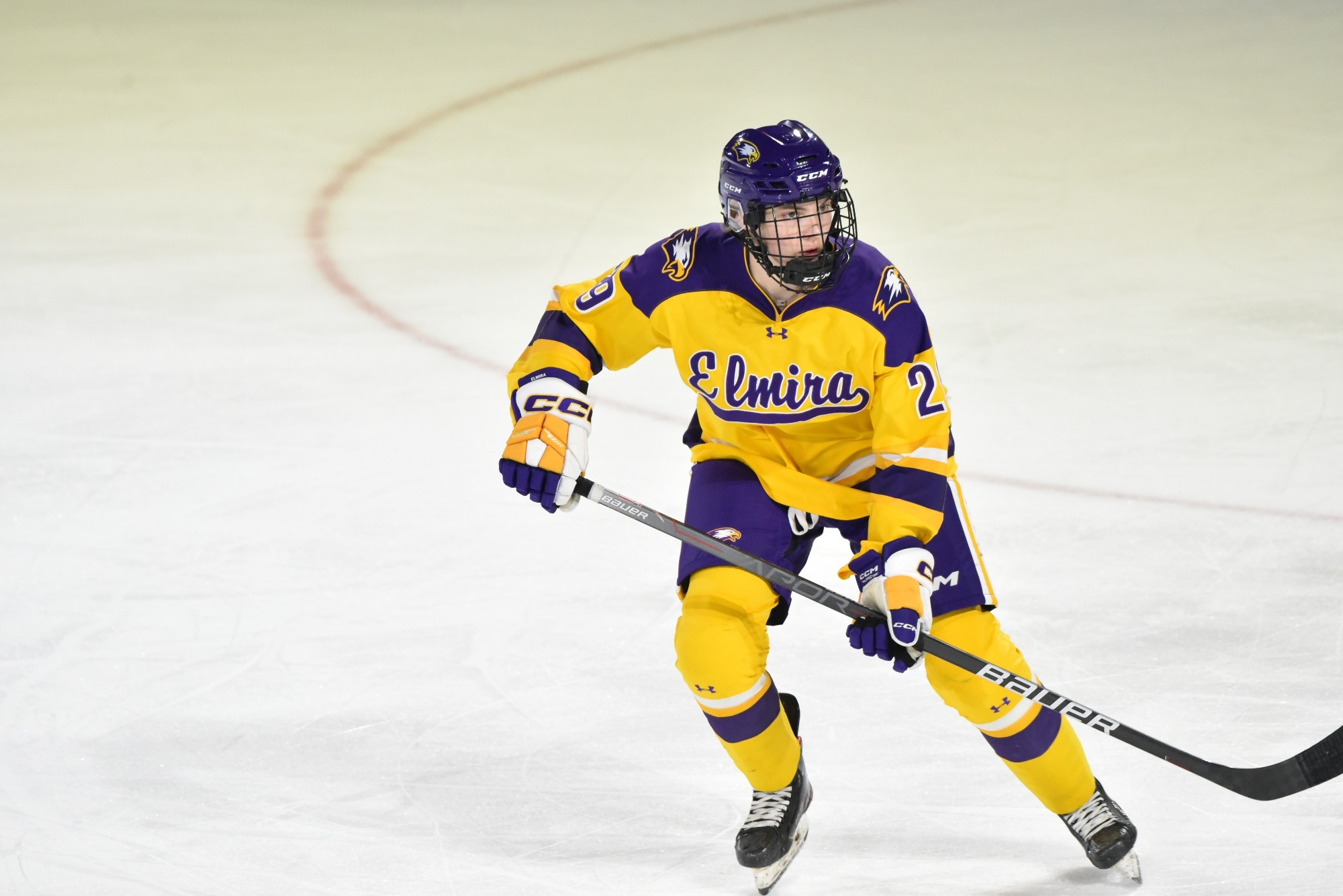 Emily Lenzen 202324 Women's Ice Hockey Elmira College Athletics