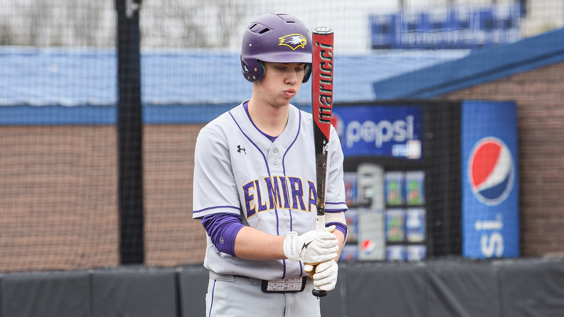 Nick Lees 2024 Baseball Elmira College Athletics