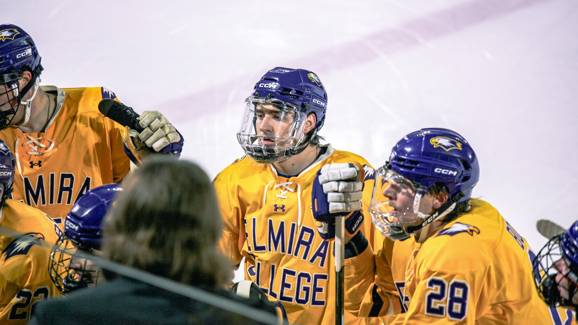 M. Ice Story Photo, 11.25.25