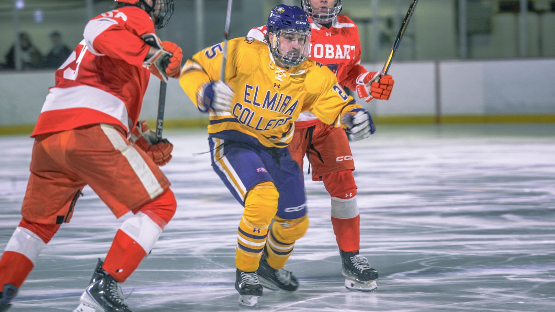 M. Ice Story Photo, 11.28.25