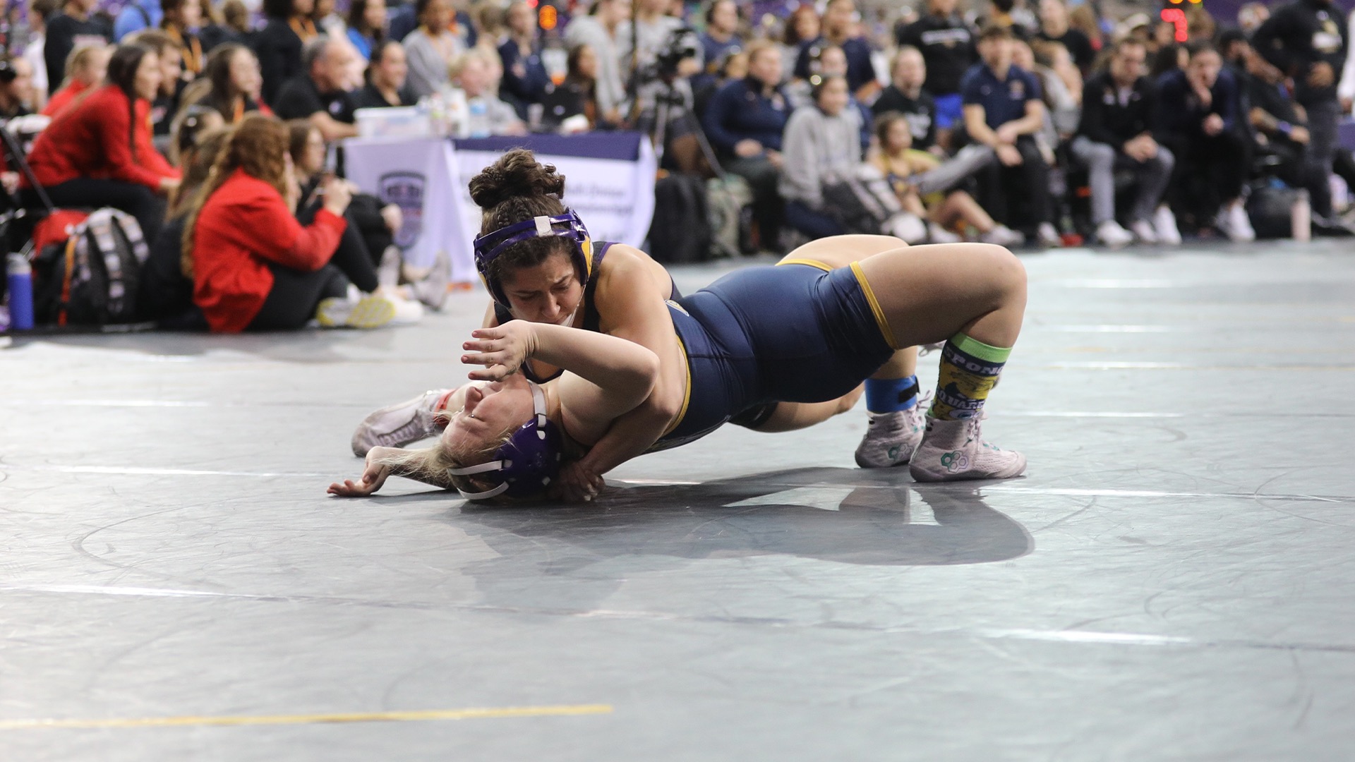 WWR Story Photo, 1.10.26