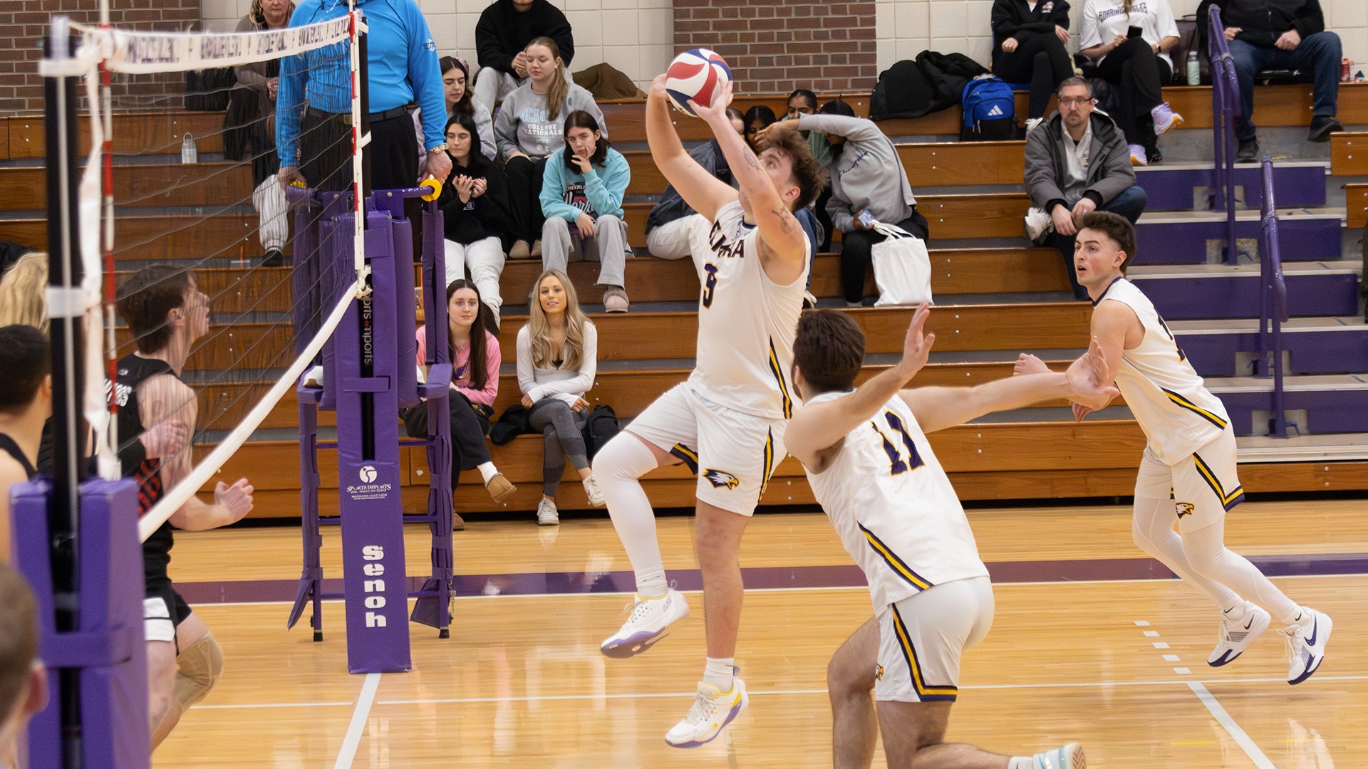 MVB Story Photo, 1.17.26