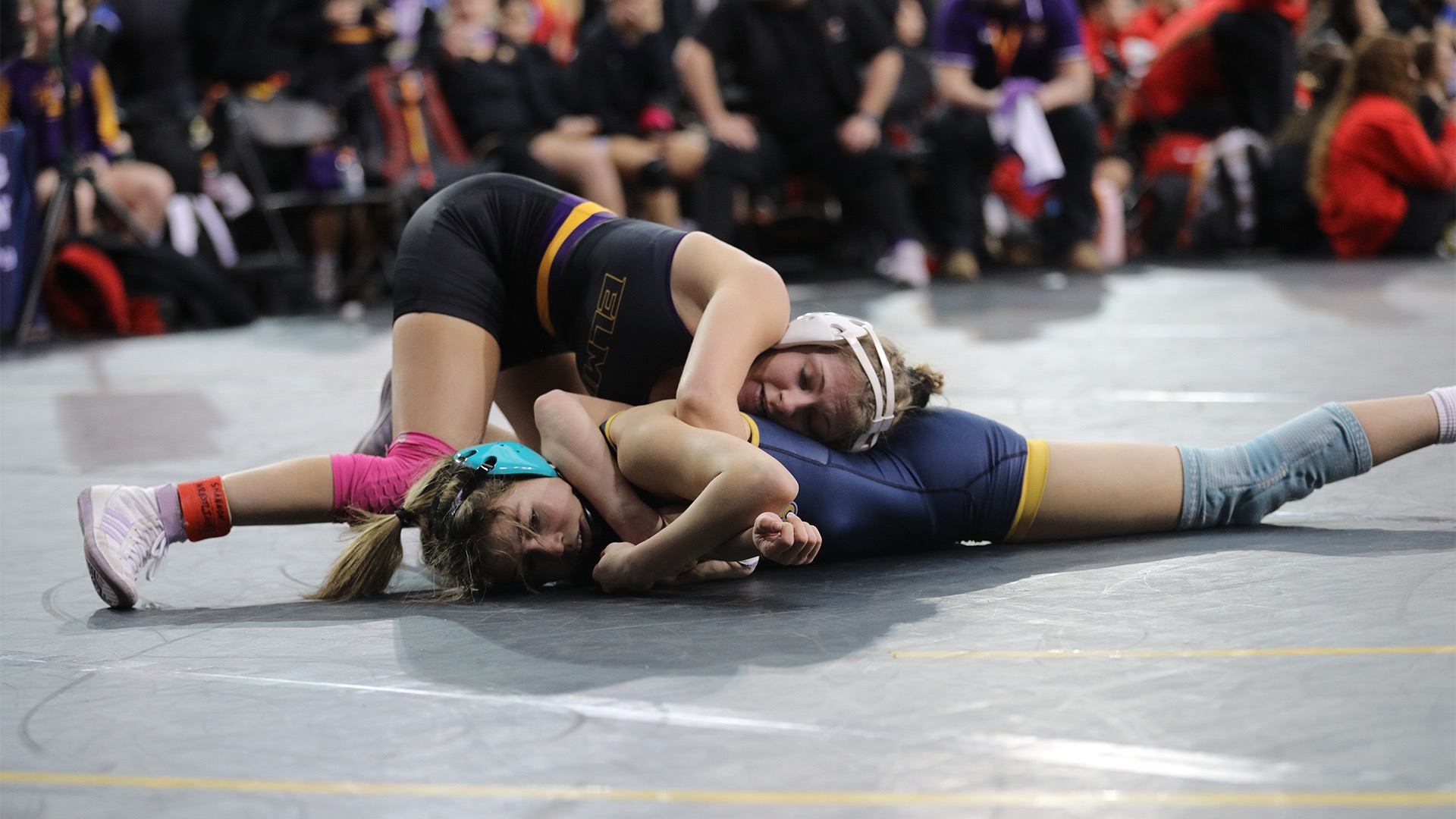 WWR Story Photo, 1.24.26