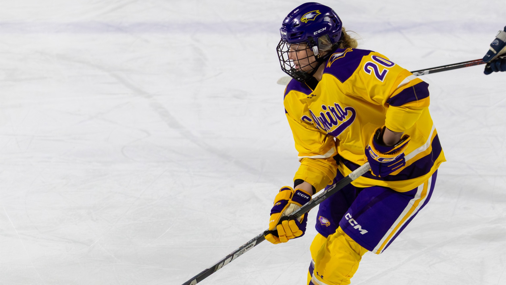 W. Ice Story Photo, 2.6.26