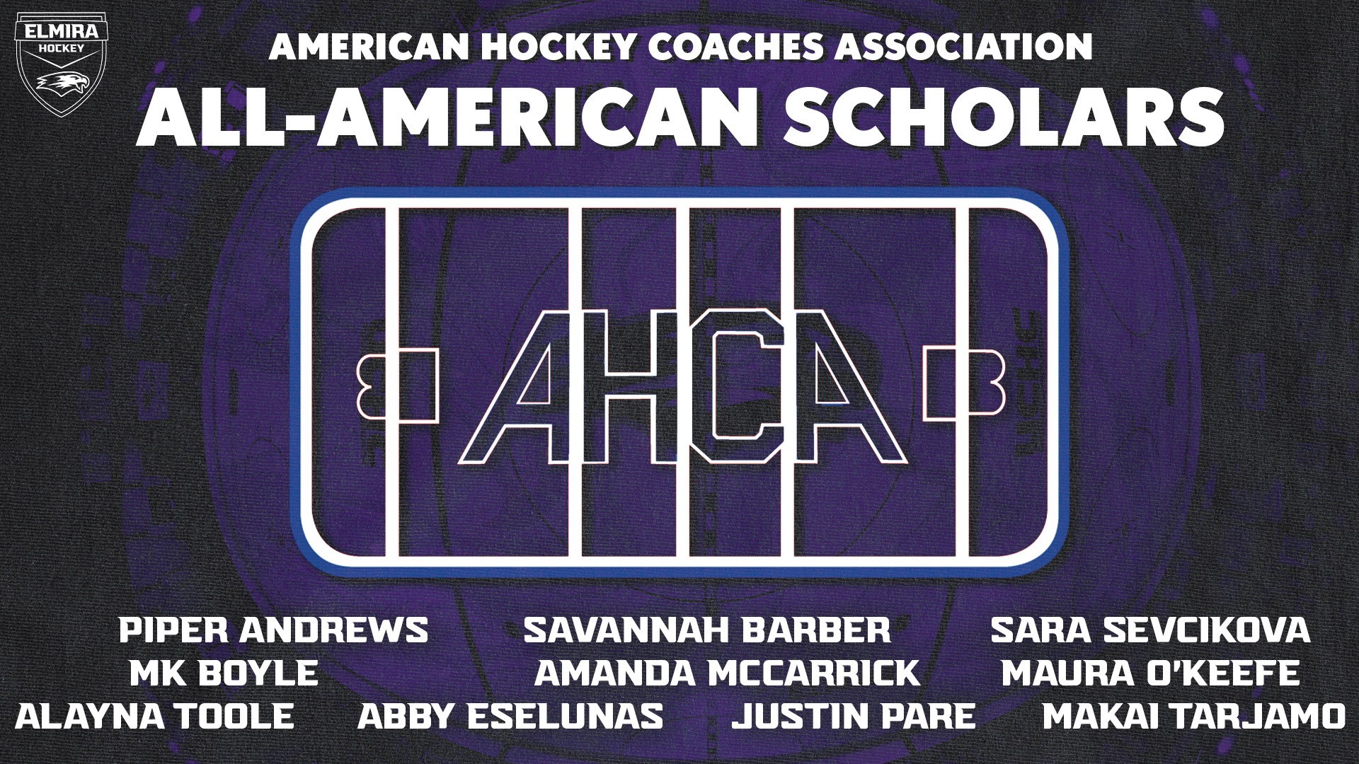 25-26 AHCA/Krampade All-America Scholar Athletes
