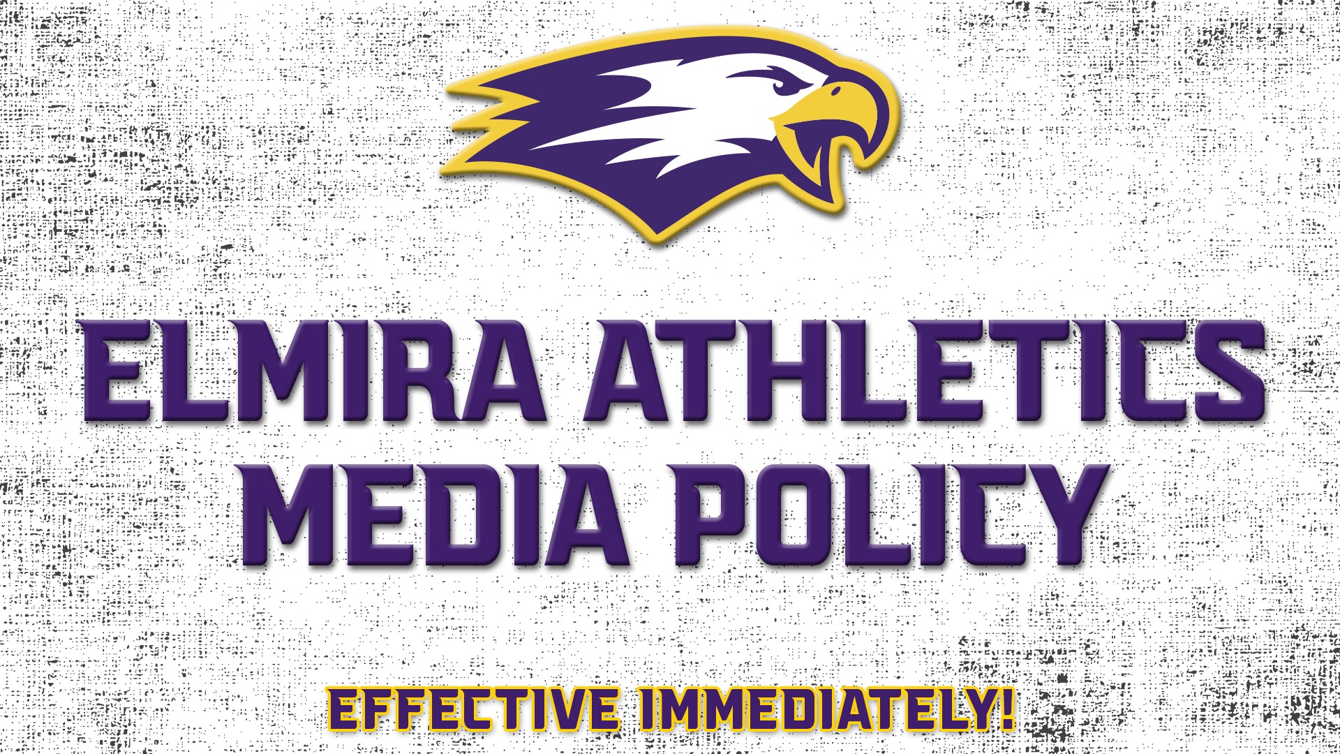 EC Athletics Web Policy Graphic, Web