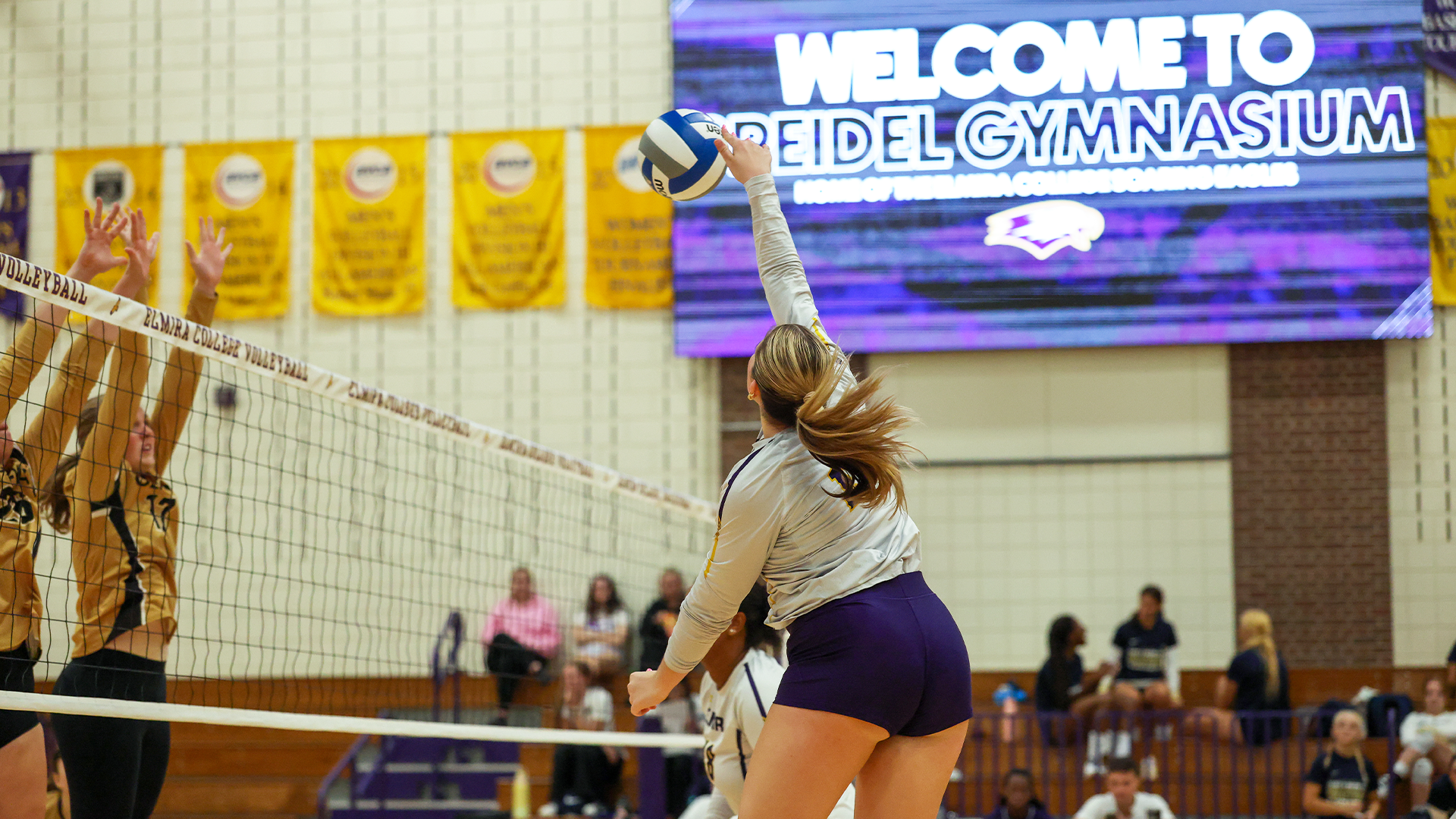 WVB Story Cover 9/5